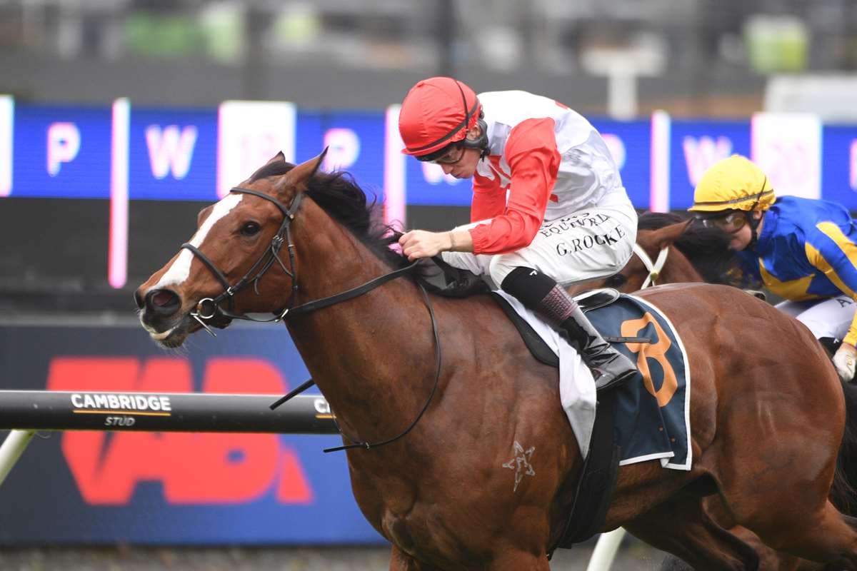 Gerard Doubles Down on The NZB Kiwi