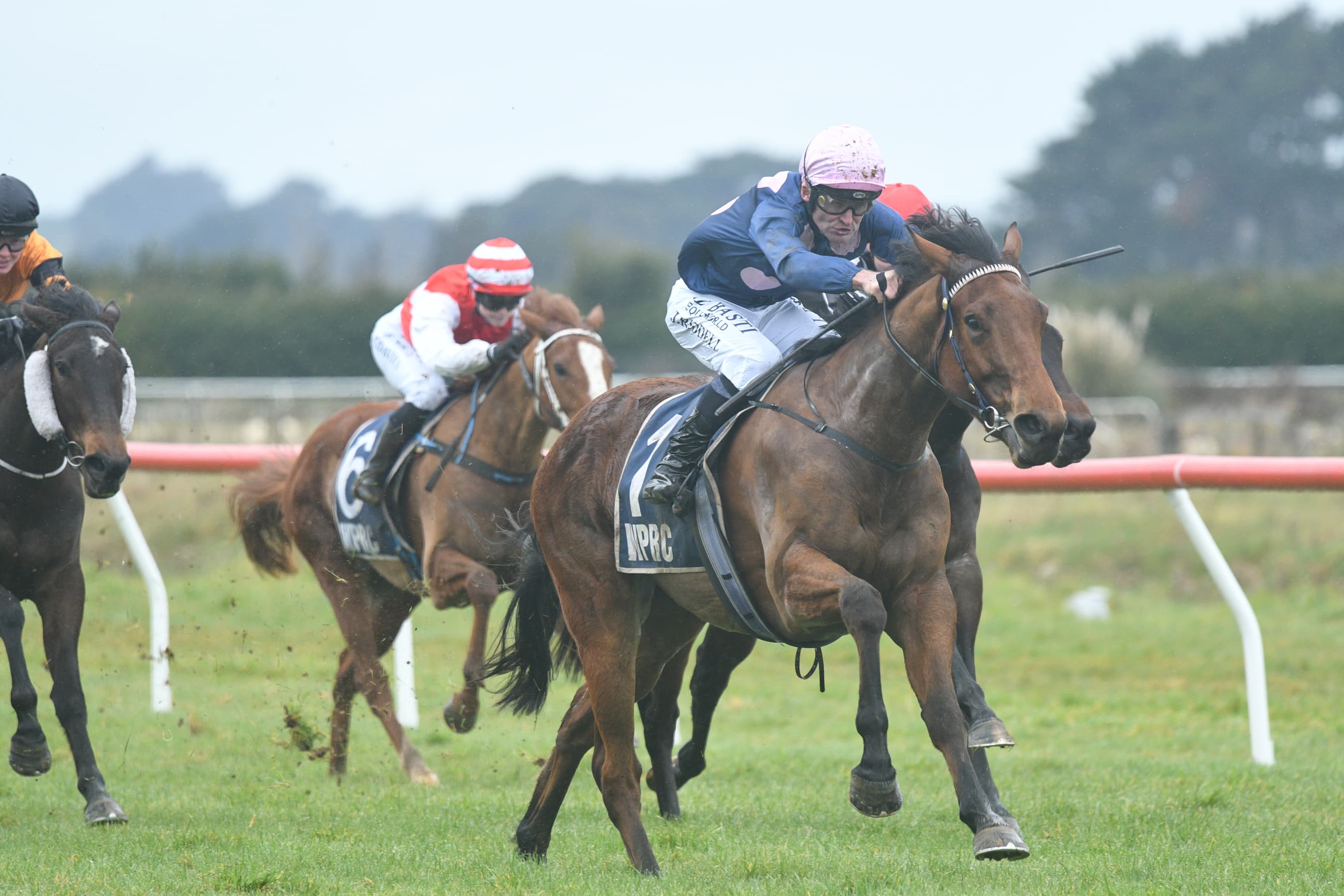 Guineas hope set to do Mum proud again