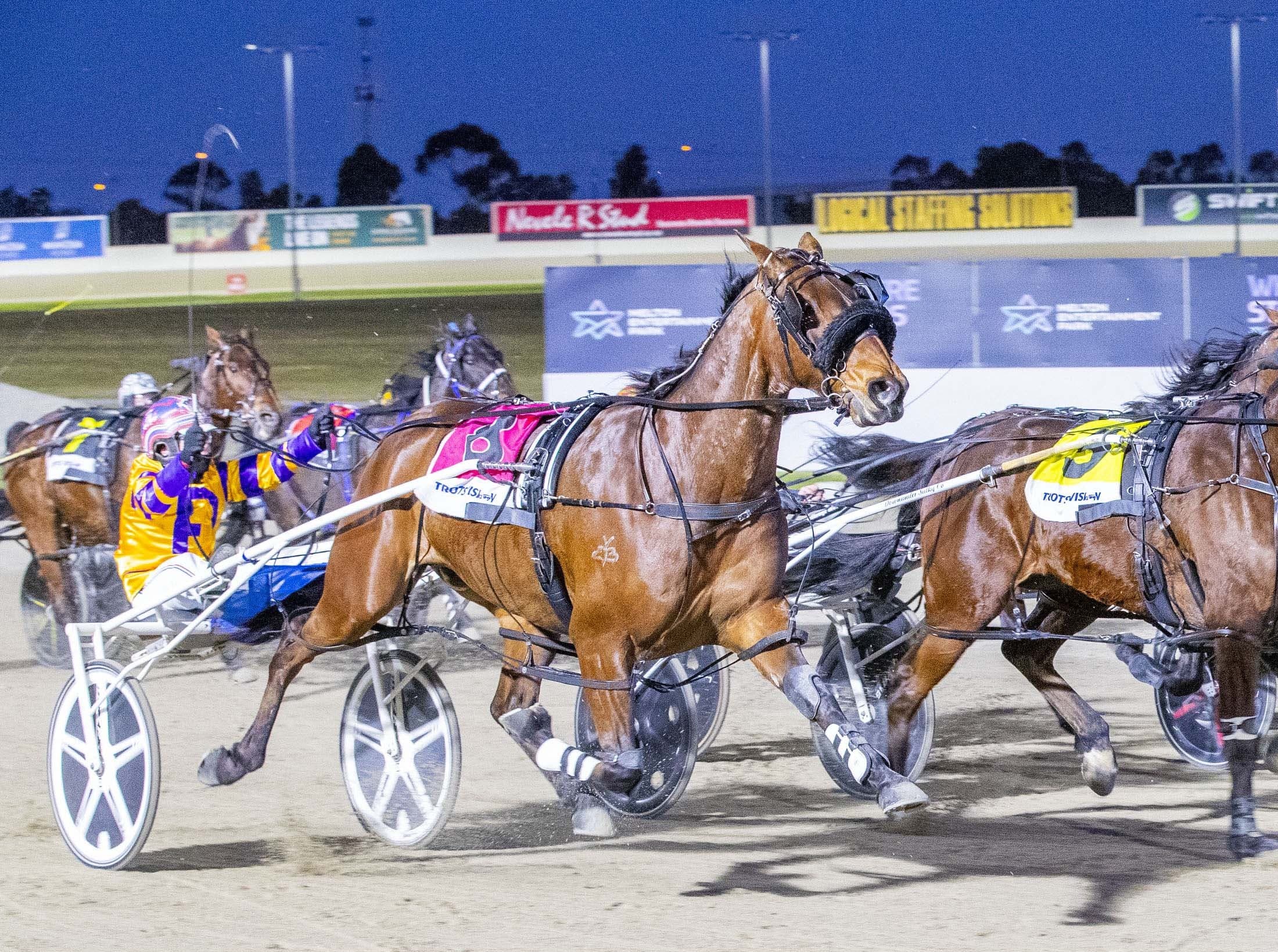 Tim O'Connor's full set and best bets at Melton (13/09)