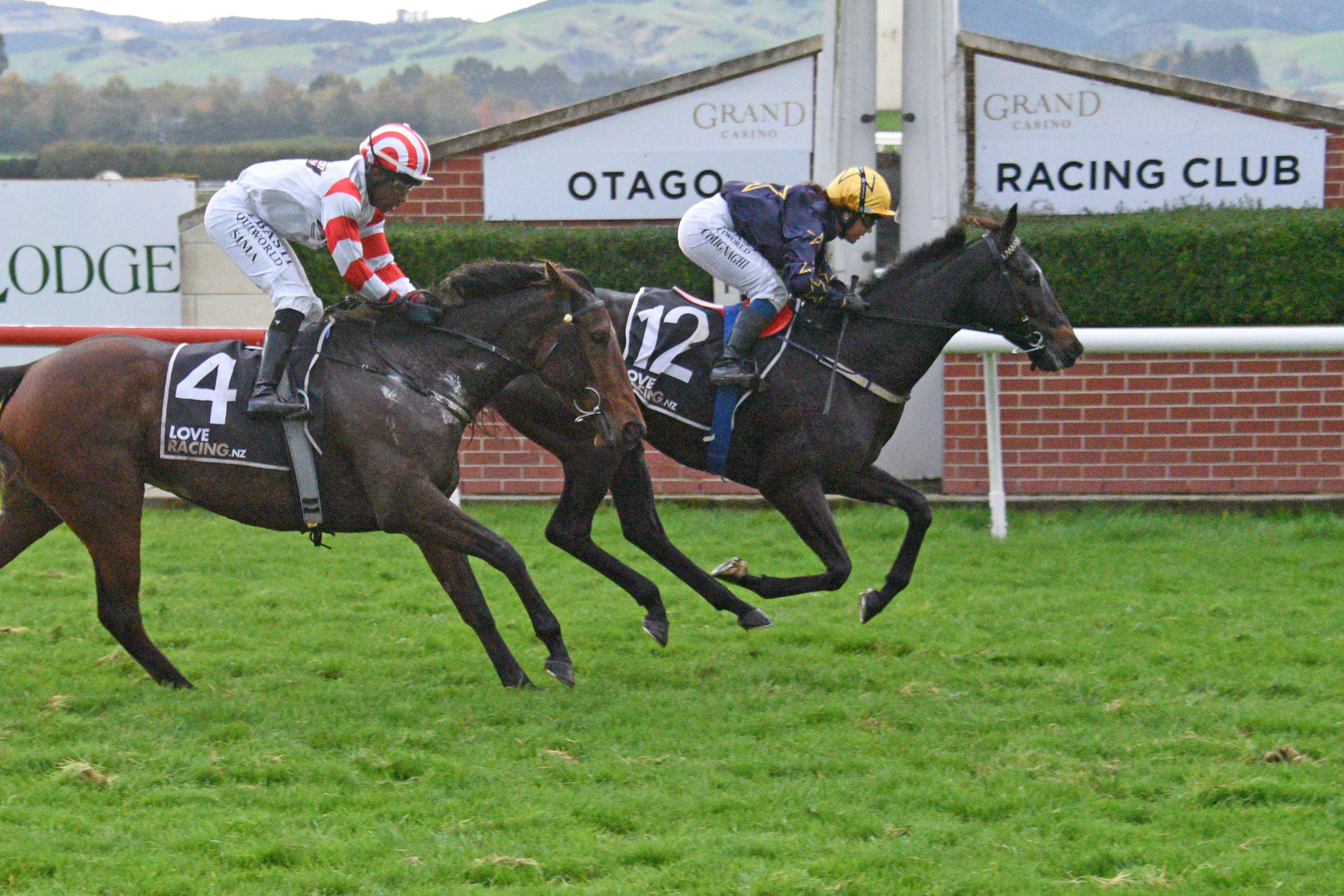 Local hopes set to shine at Wingatui