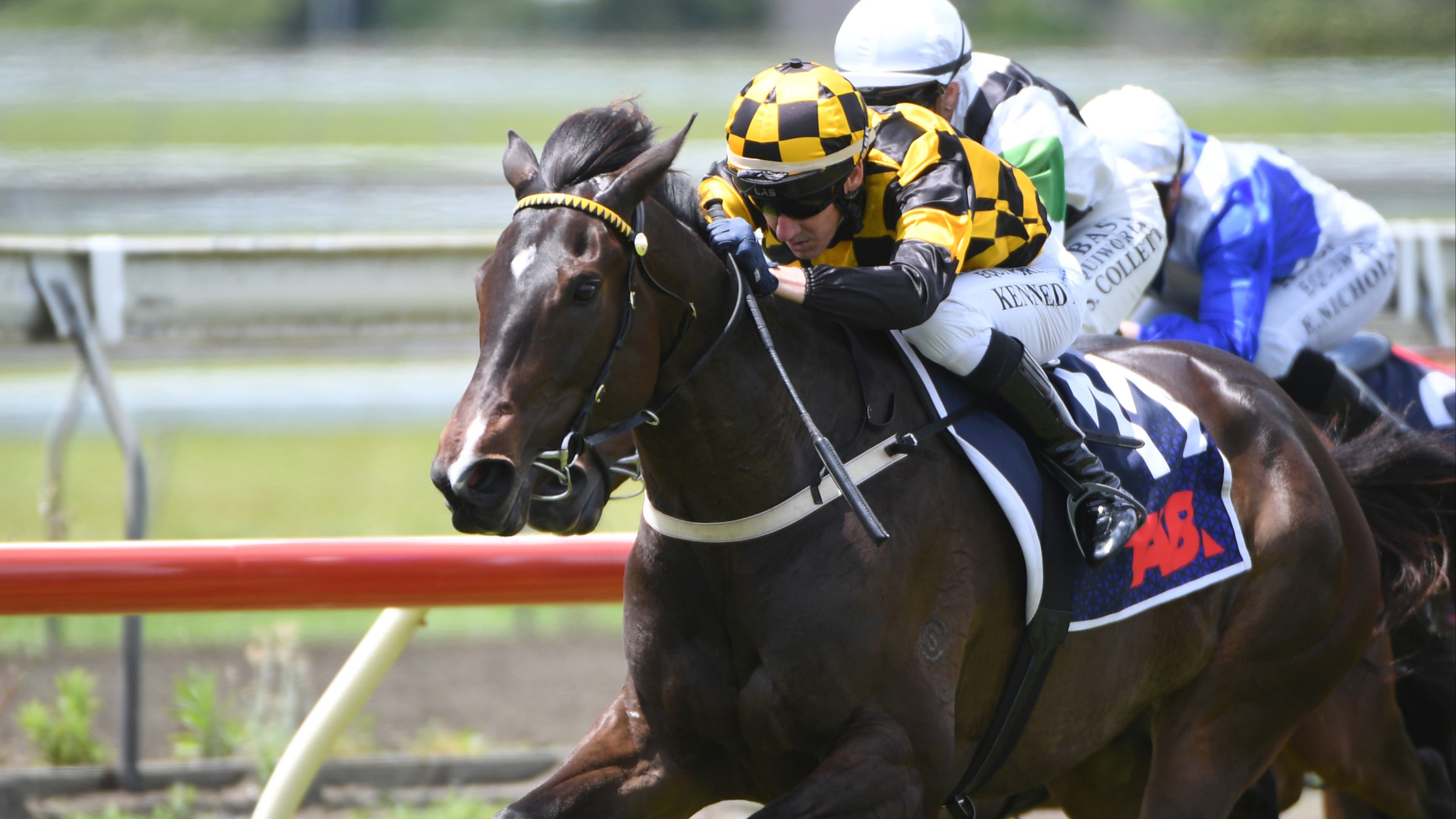 Progressive Mollify loving life in New Zealand