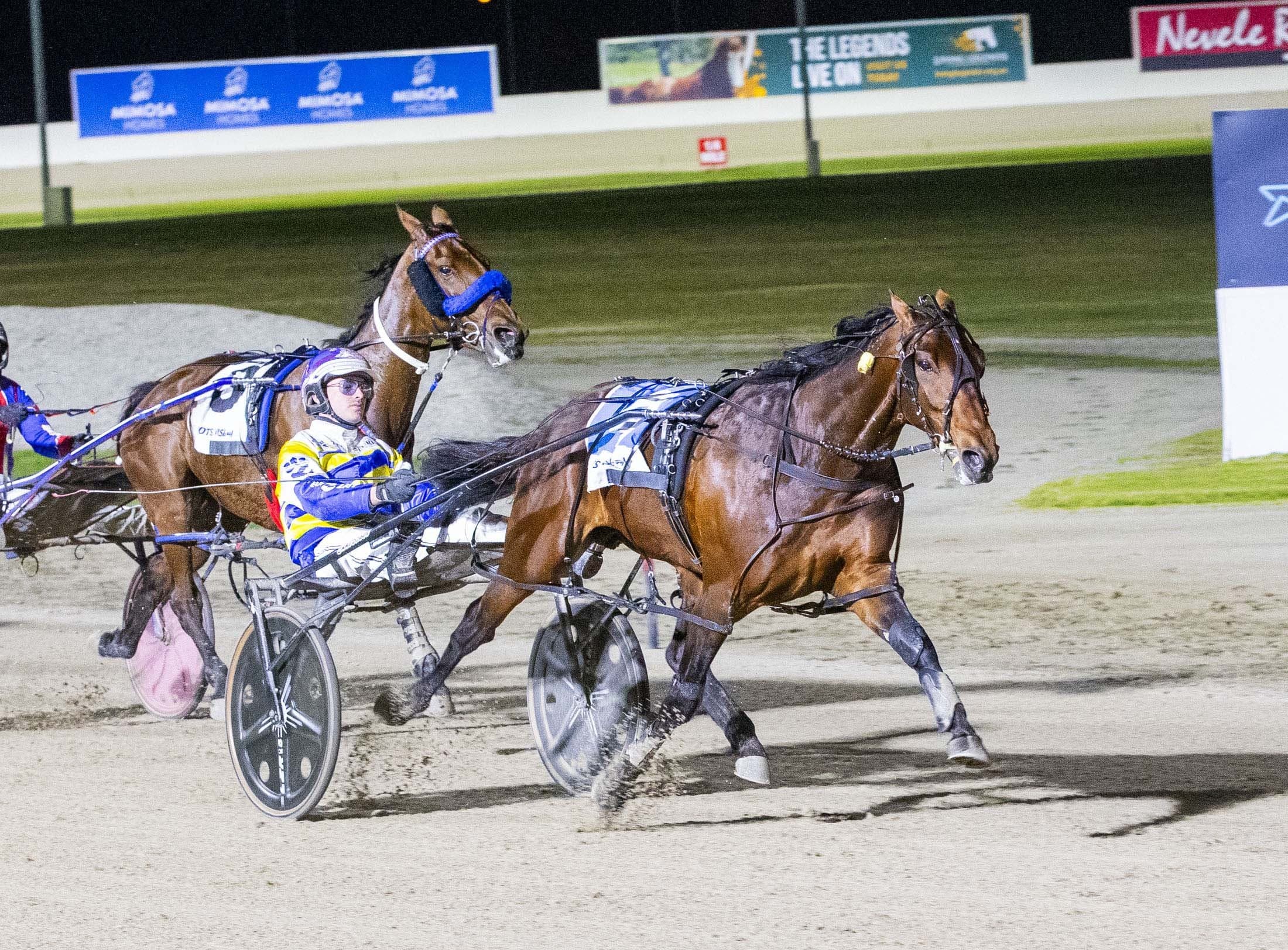 Strong win locks Fox Dan in for Team Zav TAB Eureka slot