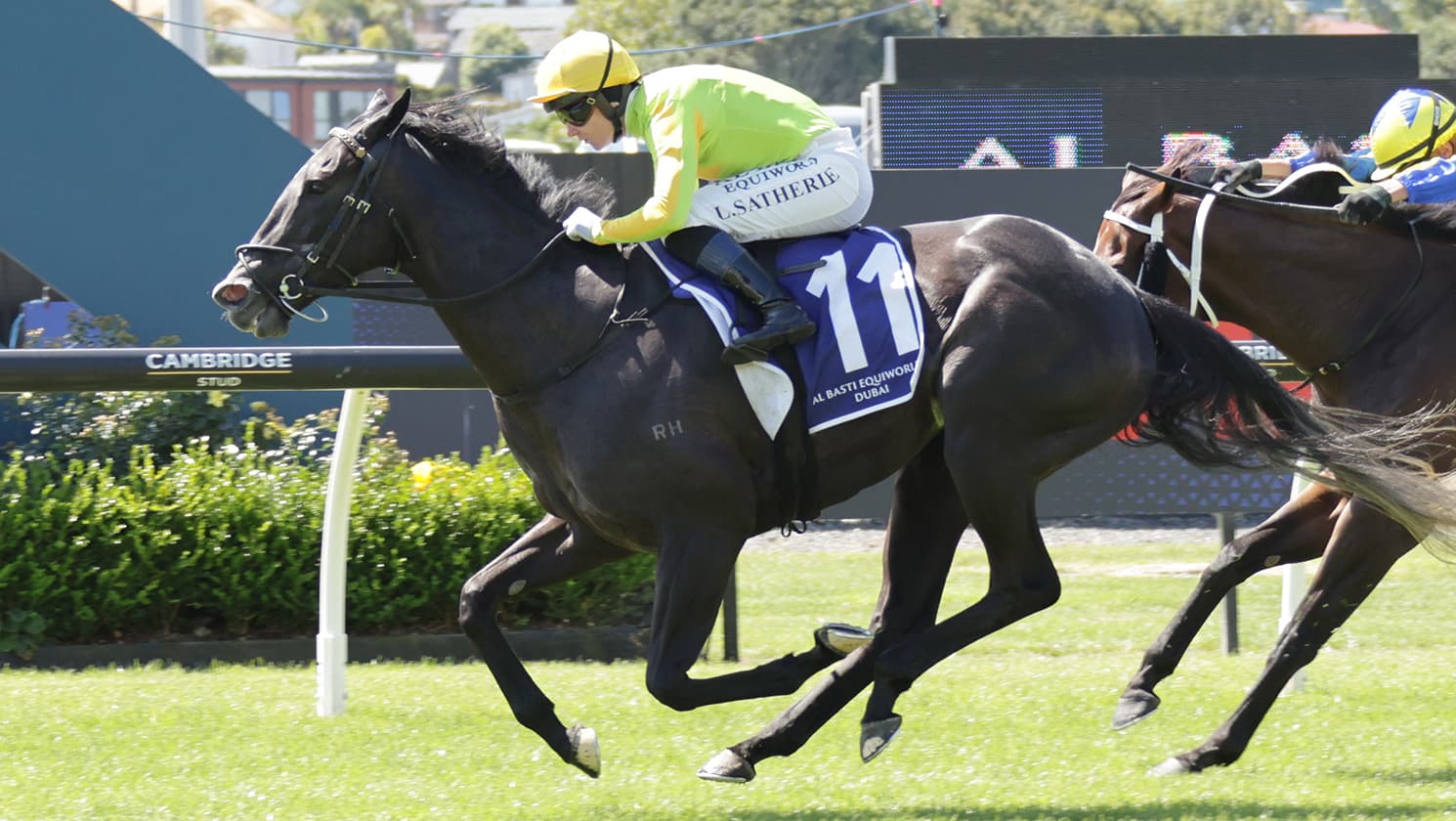 Mare full of Moxie in Dubai Classic