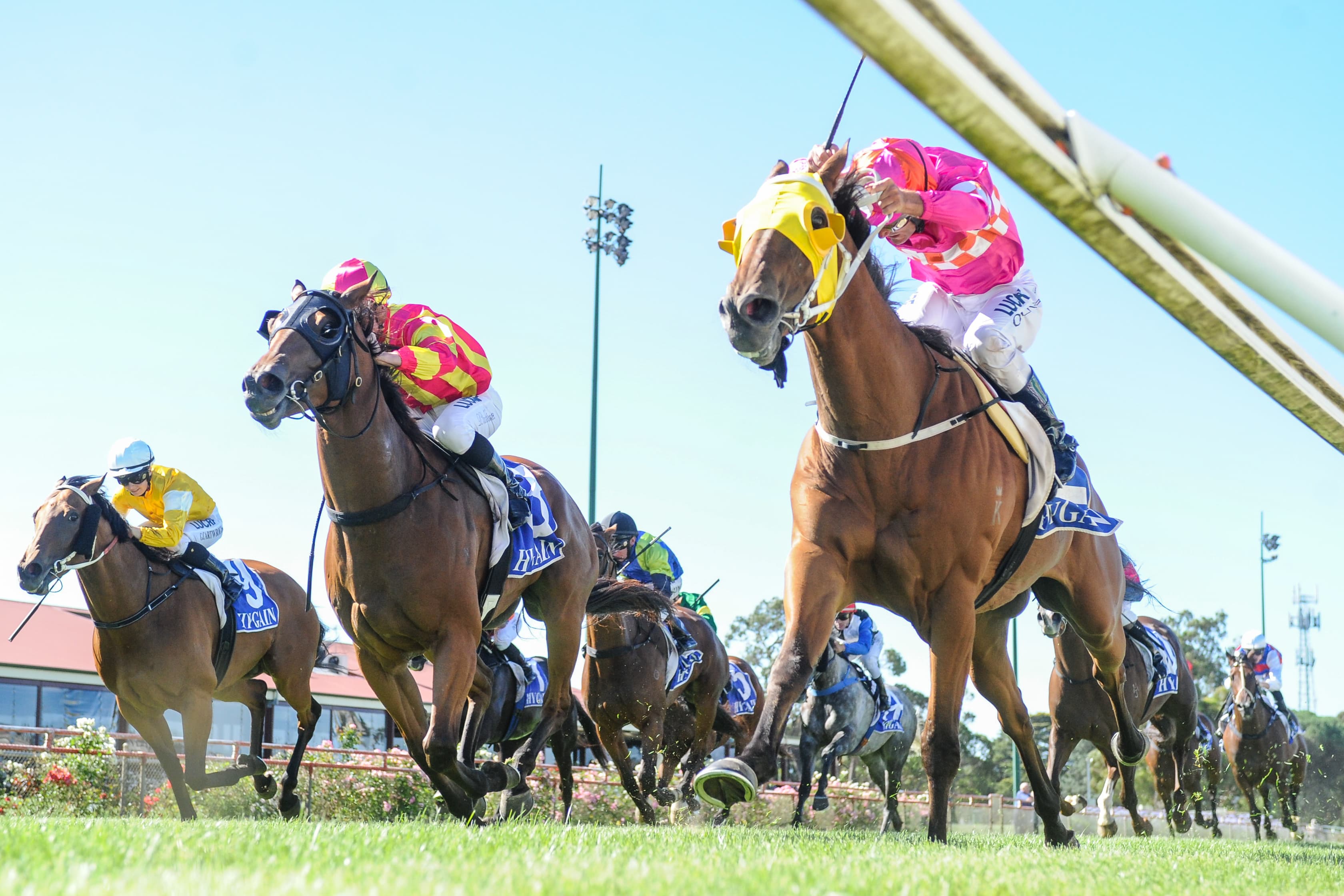 Sunday best bets from Pfitzner & Lewis (14/09)