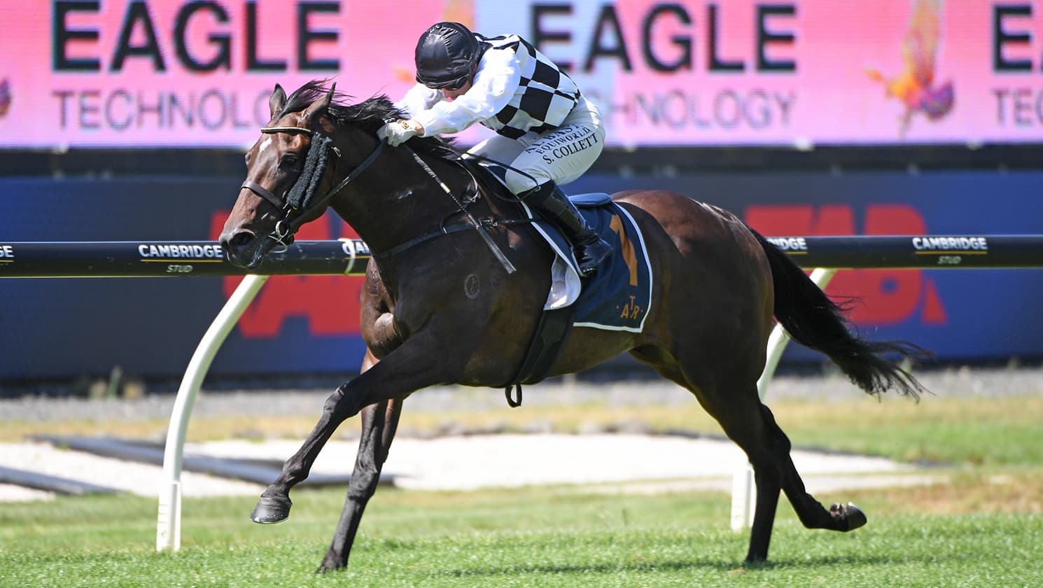 Alabama Lass on track to defend King’s Plate crown