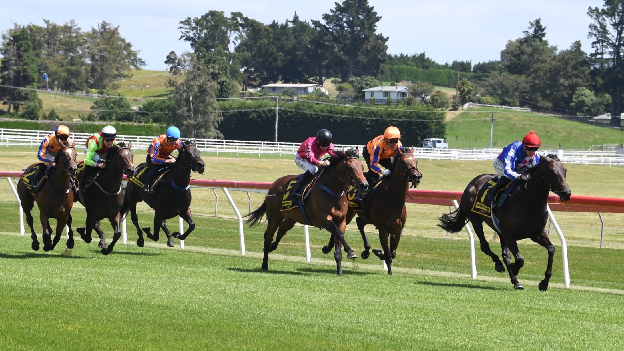 Alabama Lass on track to defend King’s Plate crown