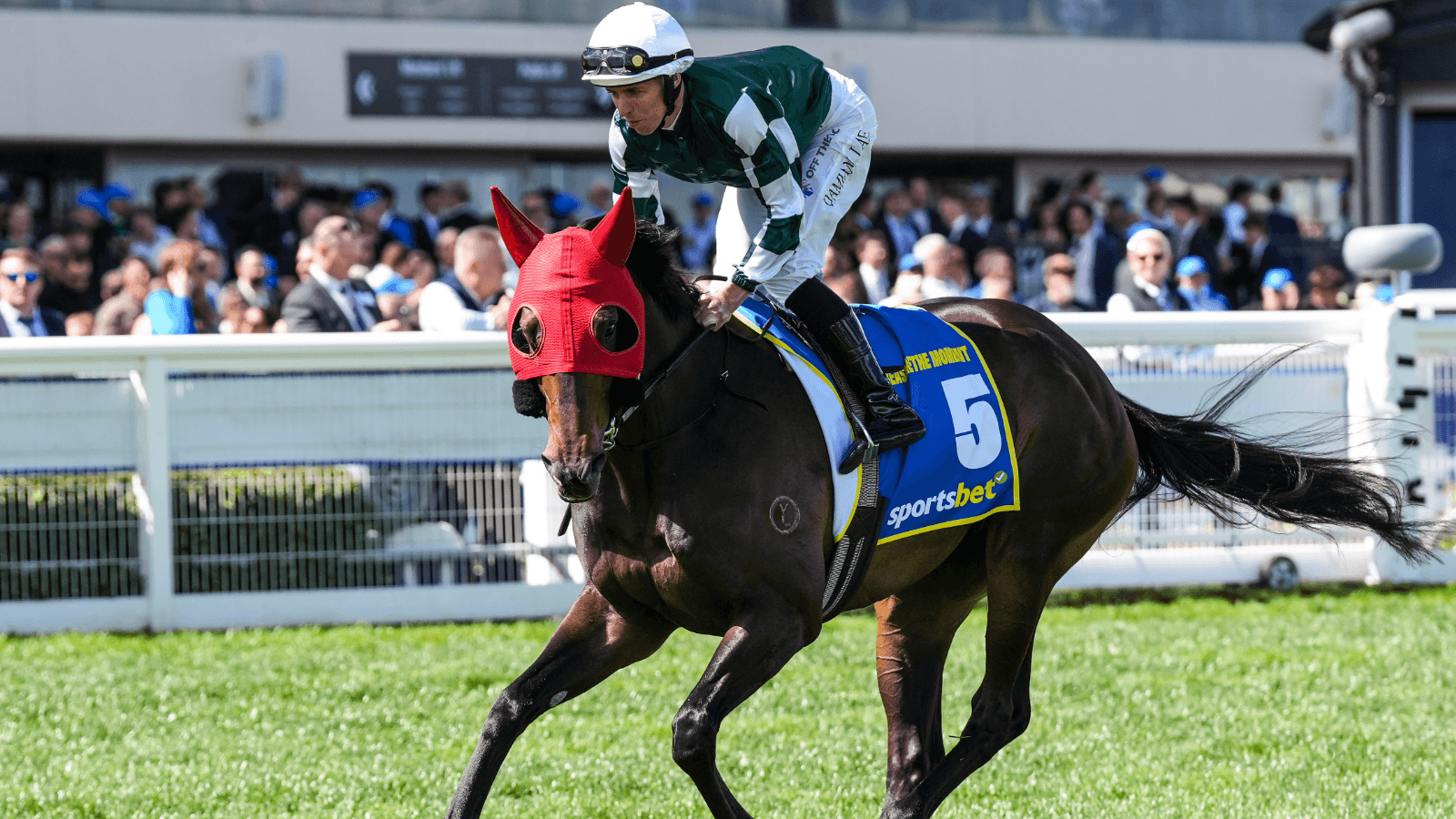 Treasurethe Moment's spring is likely over