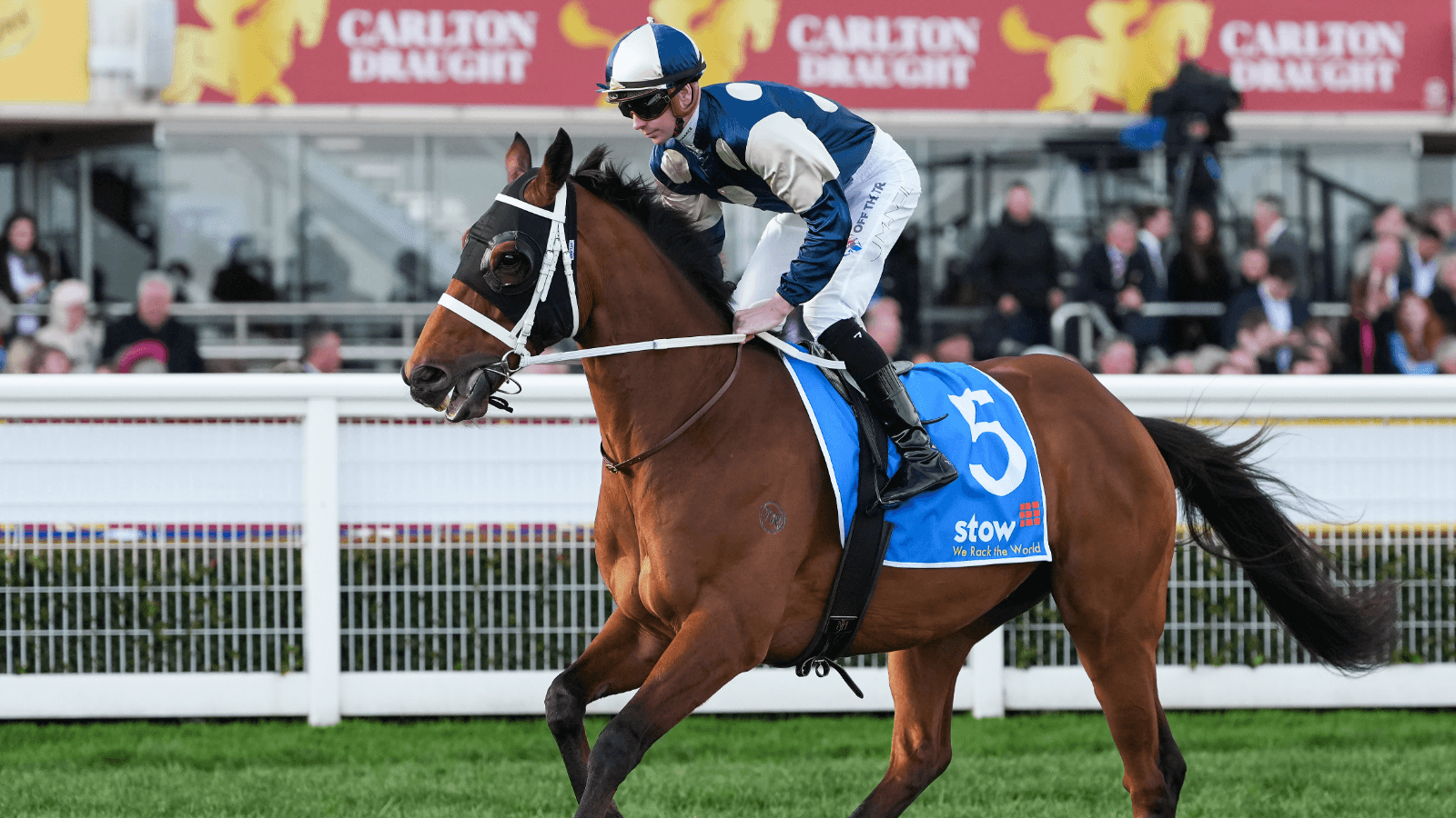 Last year’s runner-up and current favourite learn Caulfield Cup weights