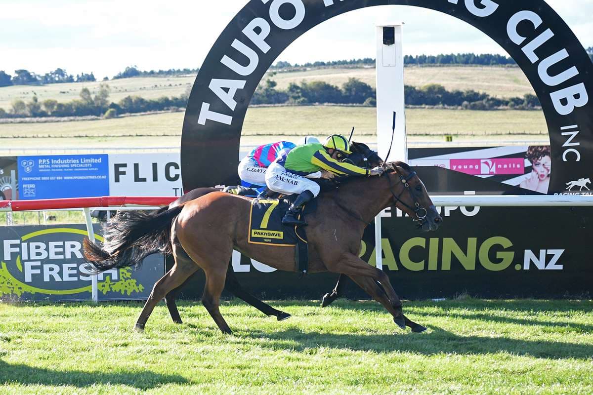 Australia beckons Riccarton stakes contender