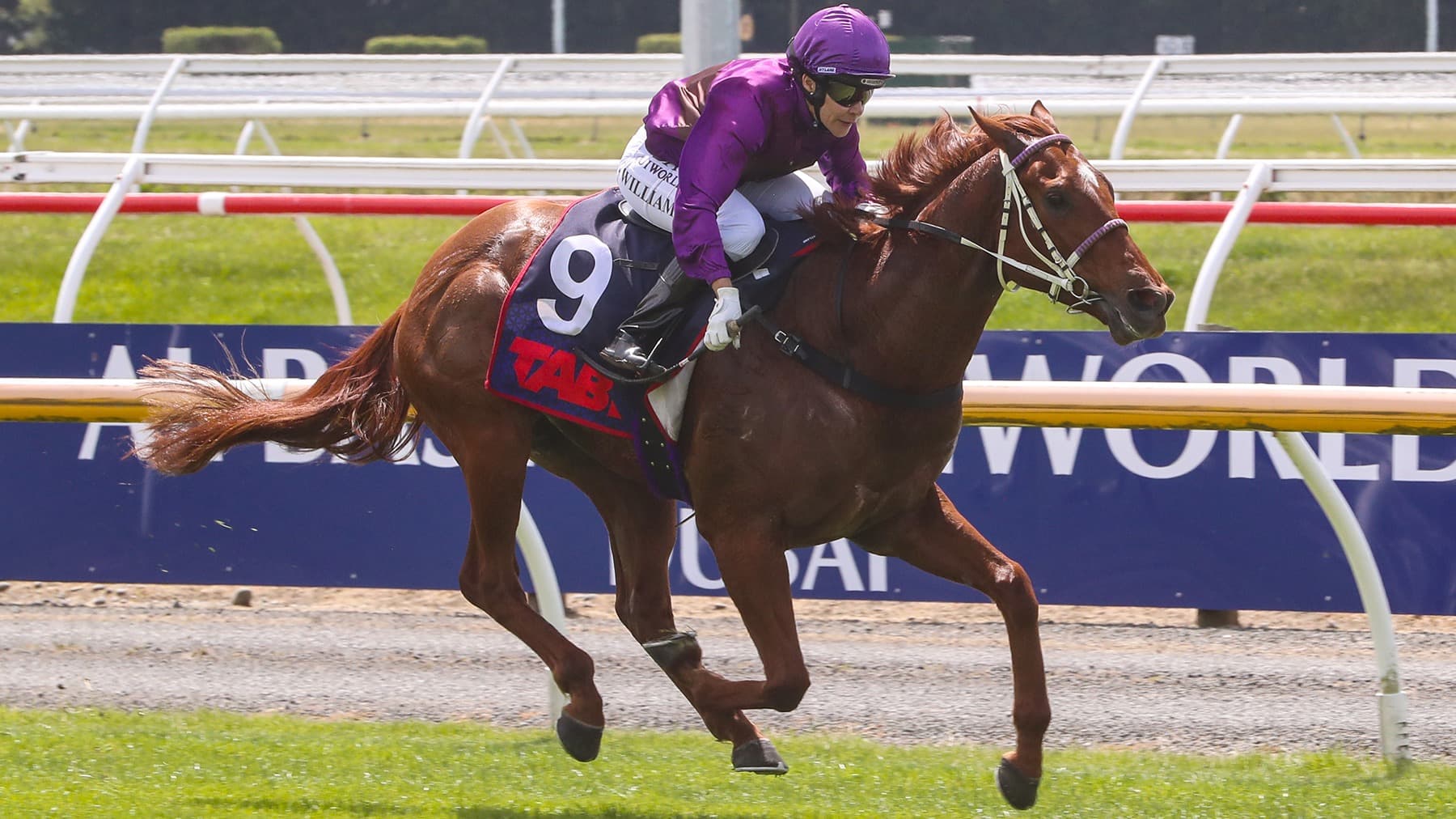 Platinum Pantheon earns Guineas shot
