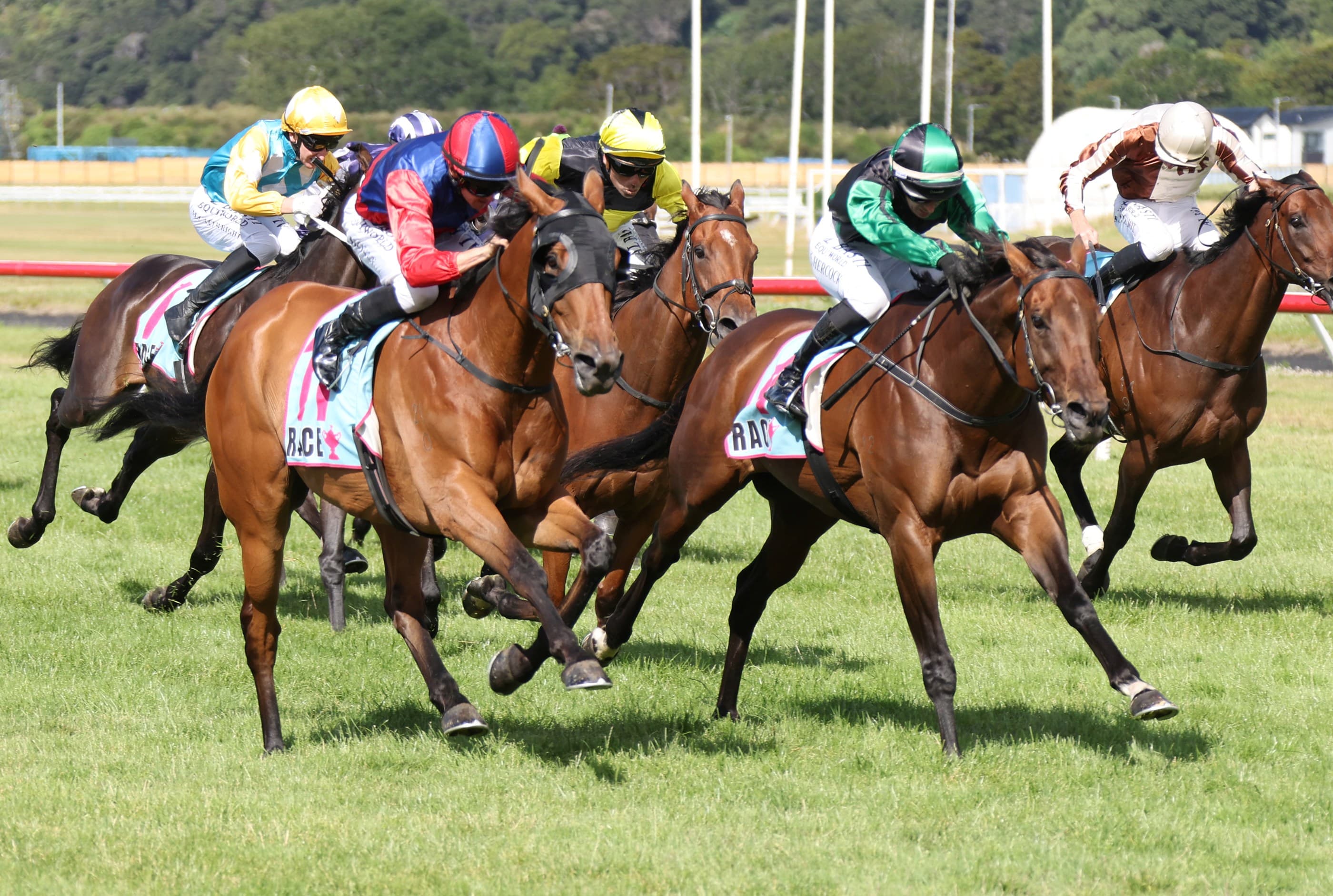 Feature win just what the Doctor ordered