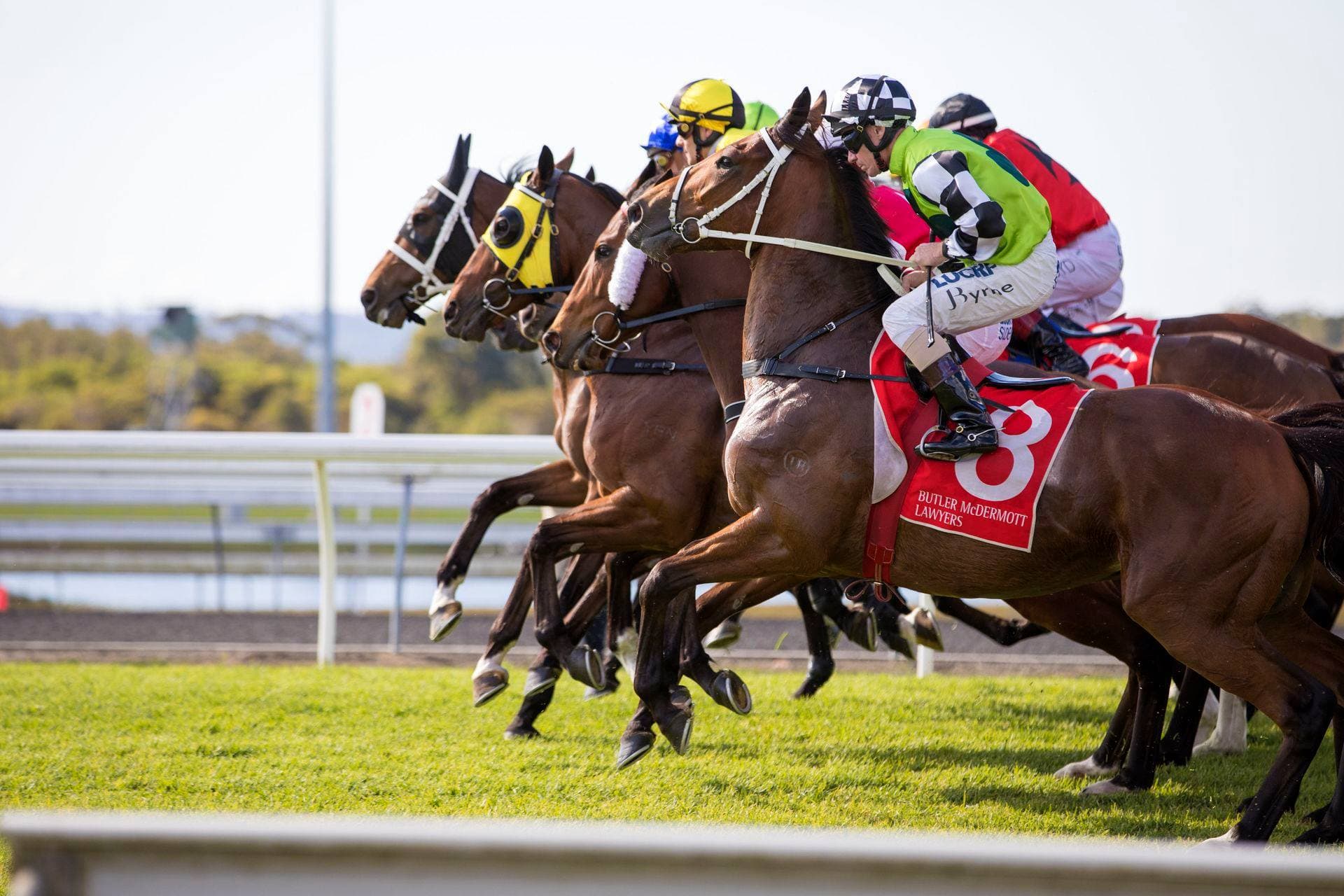 Chris Nelson's Saturday best bets at Sunshine Coast (22/11)