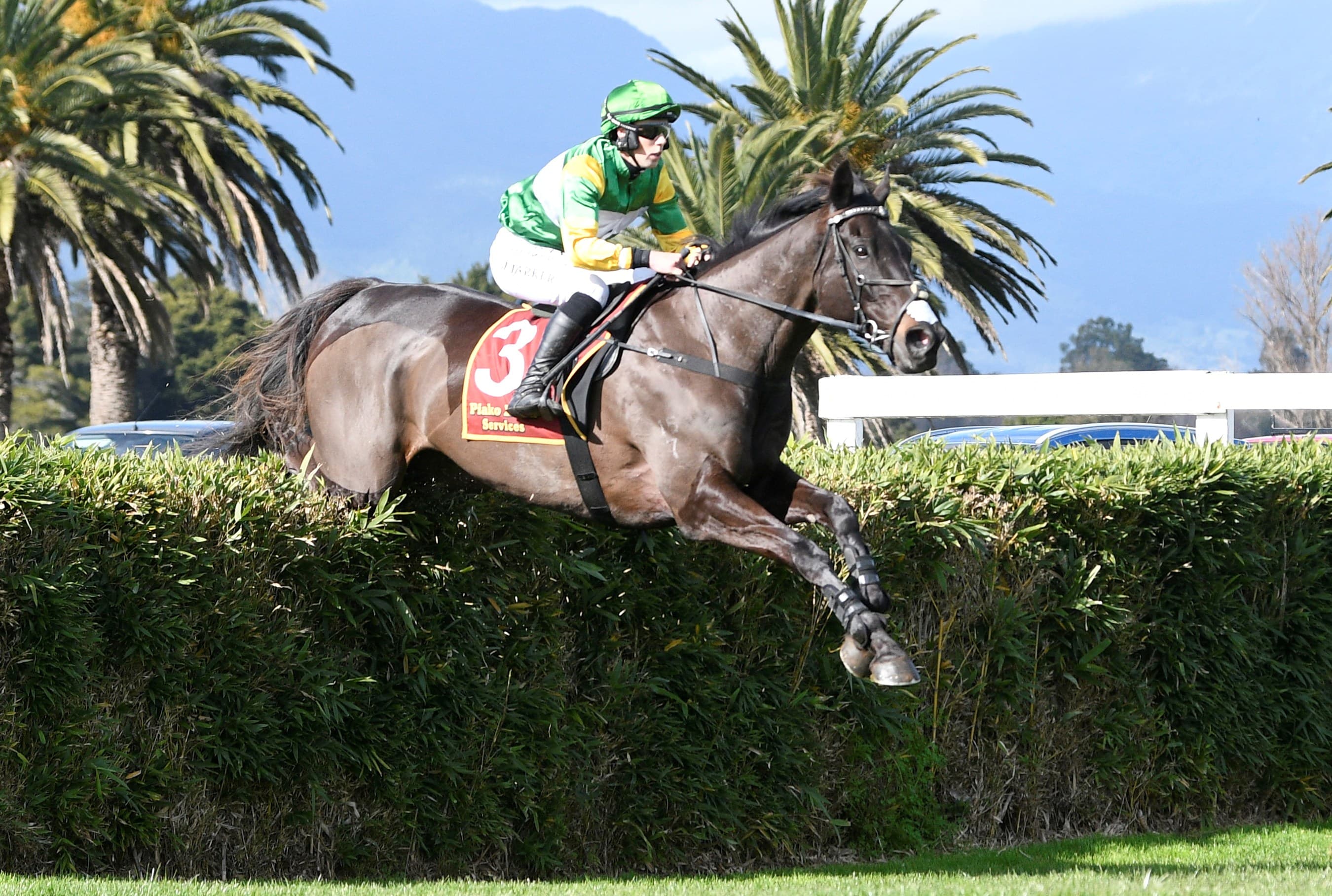 Billy Boy seeking to defend Trentham crowns