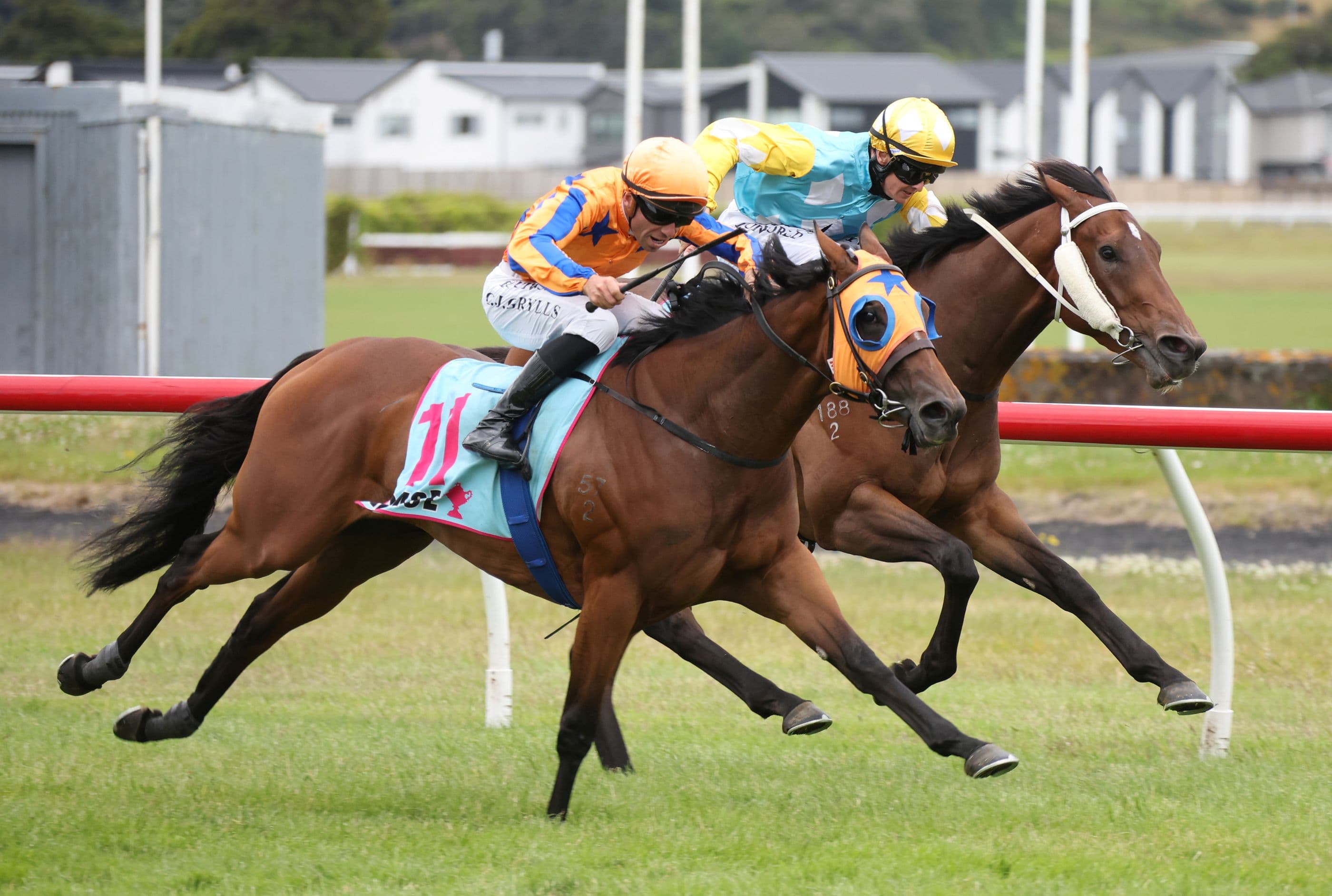 La Dorada back to her best in Levin Classic