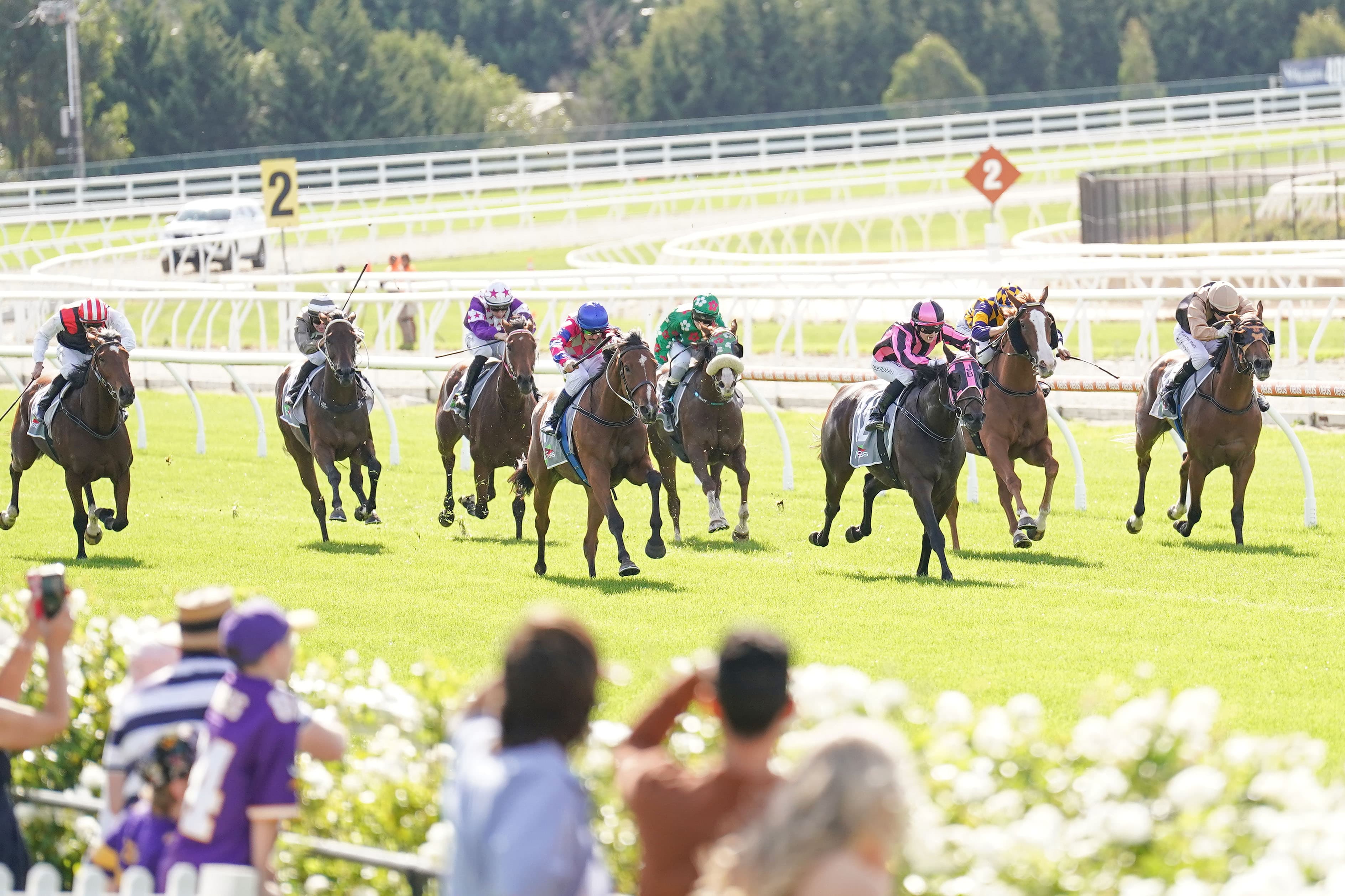 Thursday best bets from Gannon & Pfitzner (27/11)