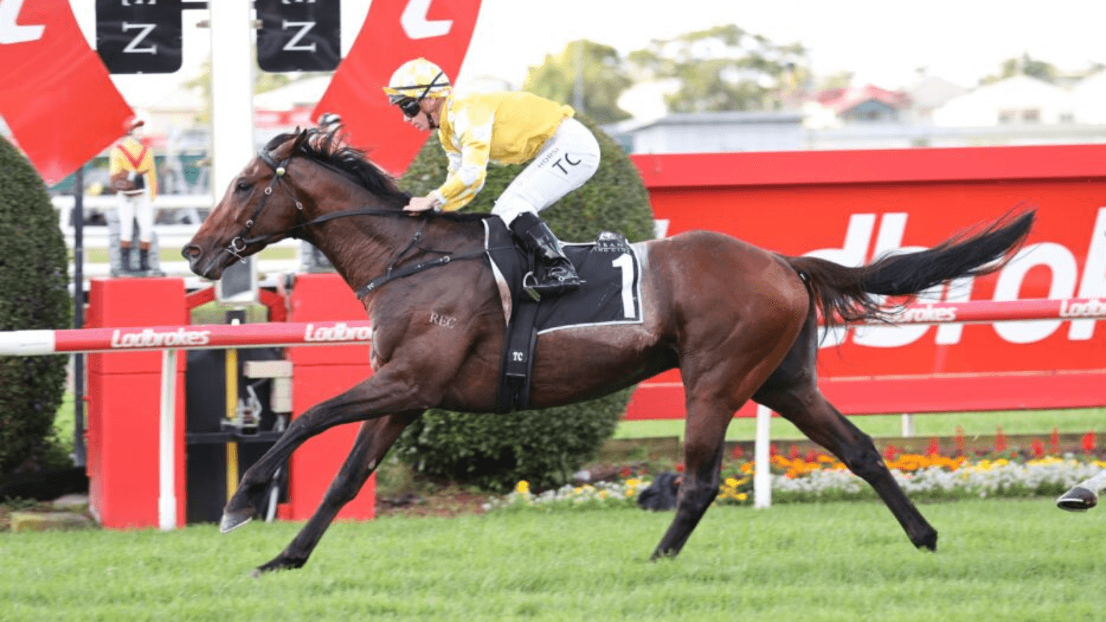 Bott: Sir Delius in "incredible shape" for Underwood