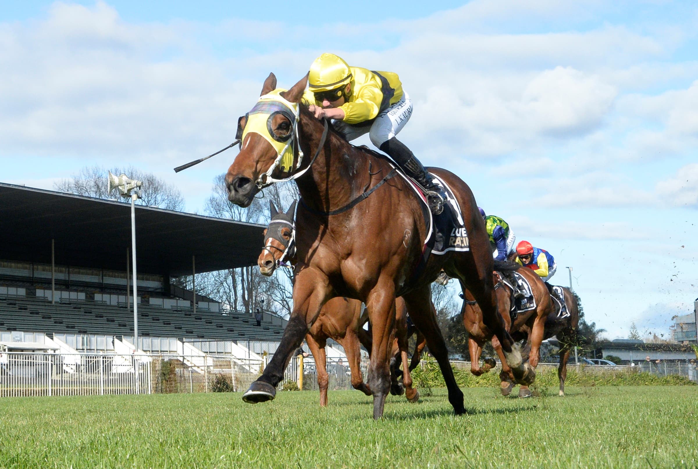 Local gelding to take new road at Cambridge