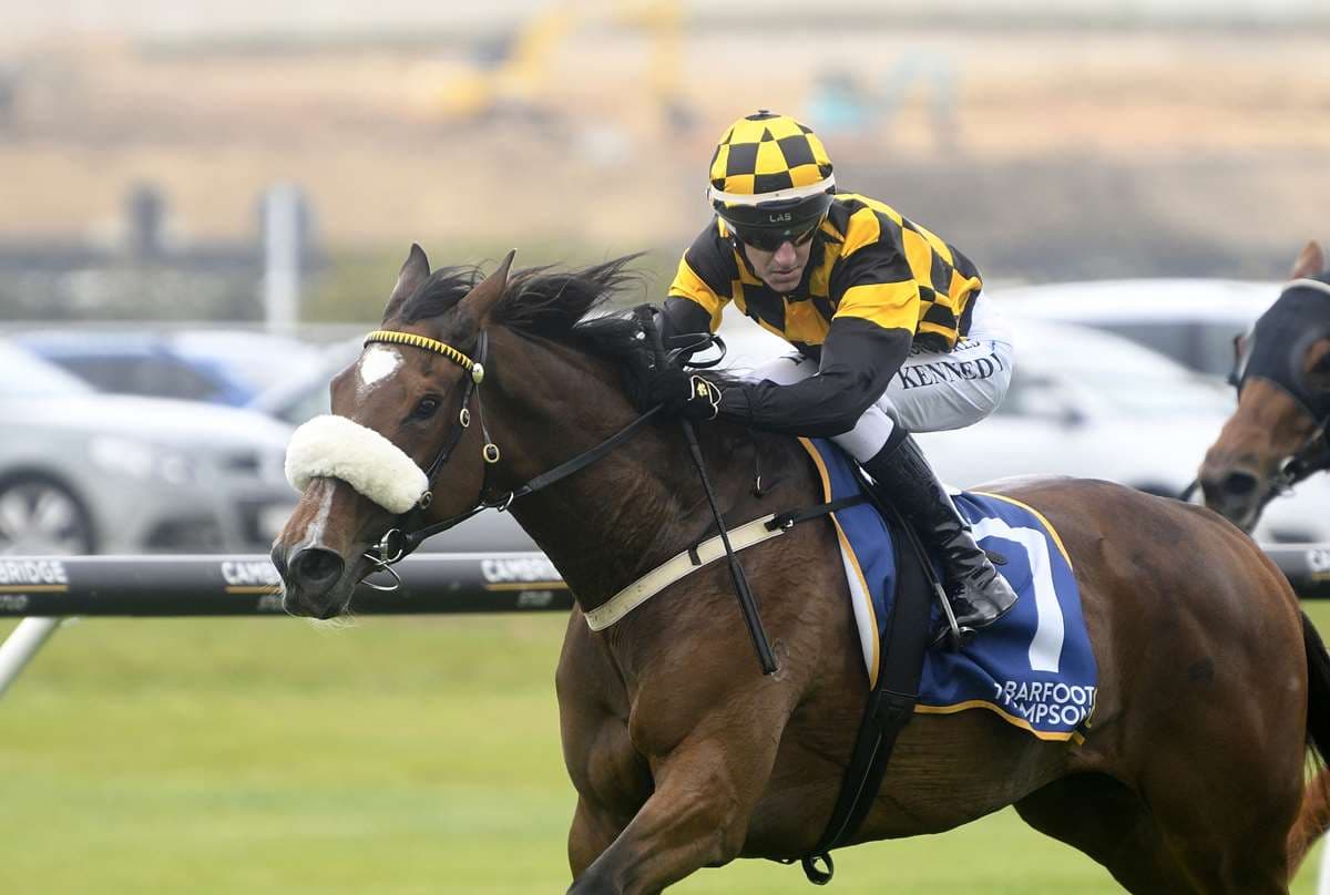 Jaarffi seeking breakthrough stakes win