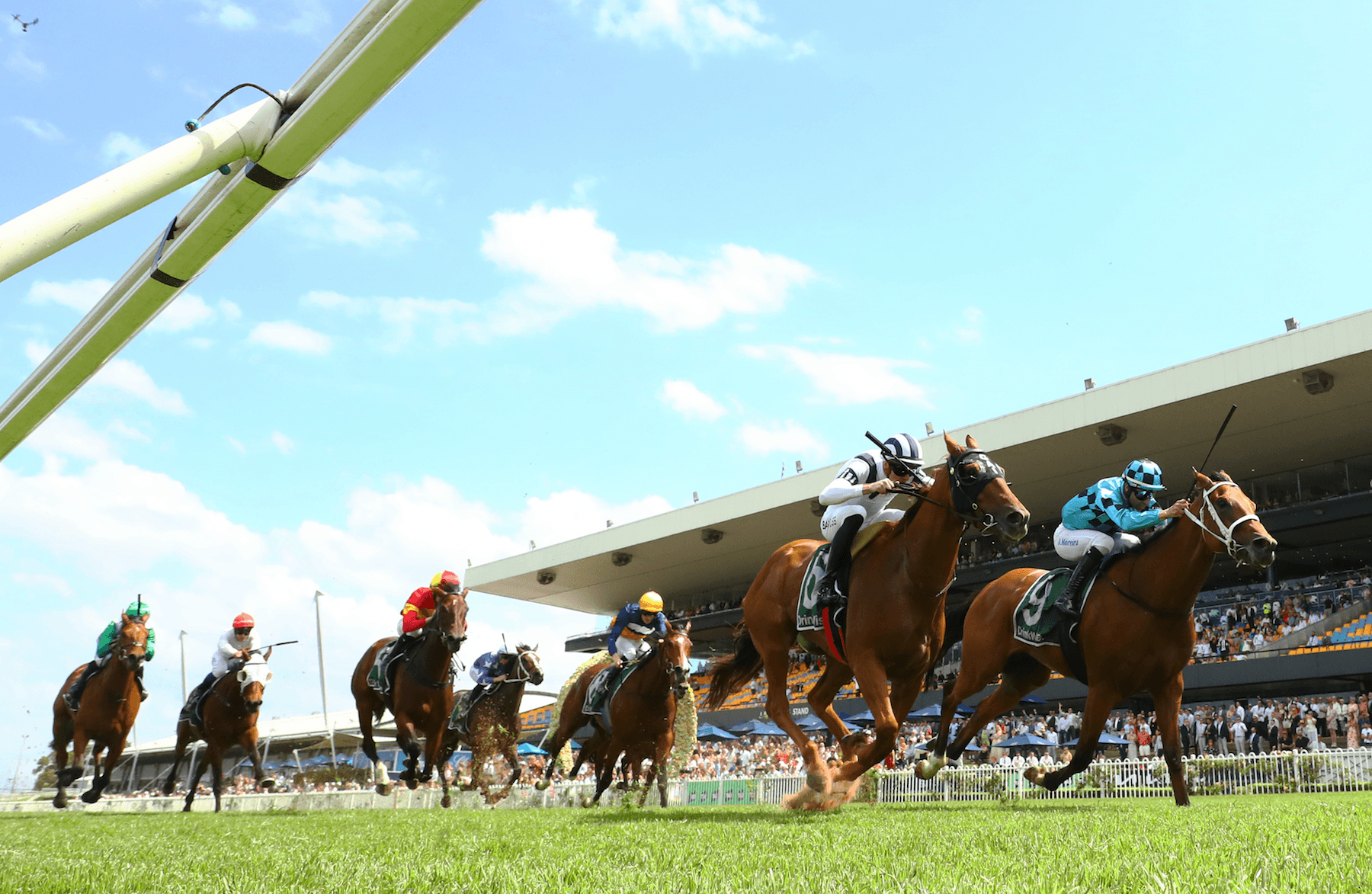 “Best value play”: Gannon's best at Rosehill & Flemington (10/09)