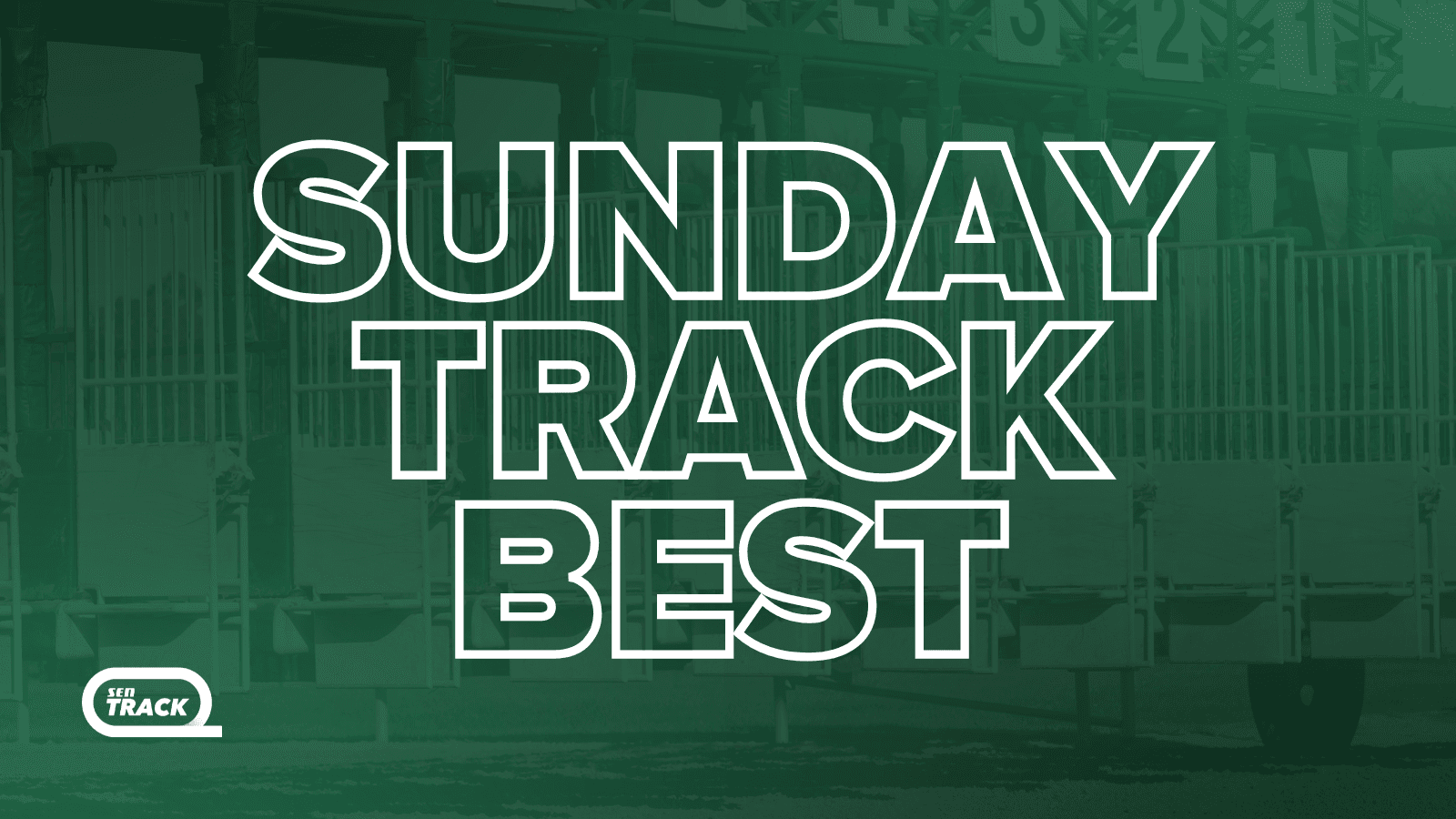 Sunday best bets from David Taggart & Damian Watson (14/12)