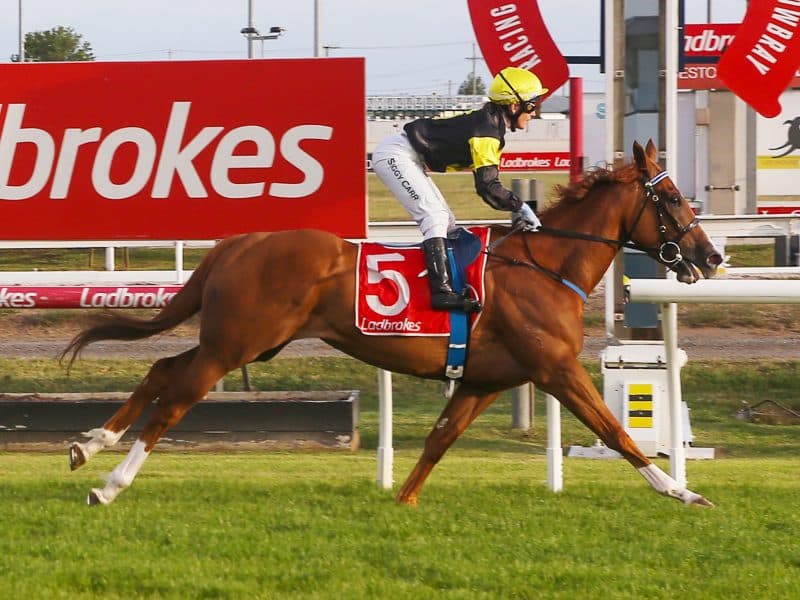 Tasracing's Friday best bets at Launceston (03/10)