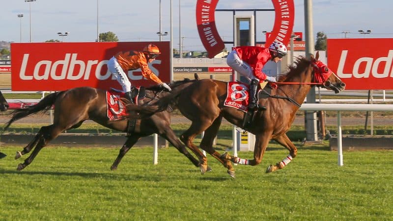 SENTrack: Tasracing’s Friday best bets at Launceston (01/11)