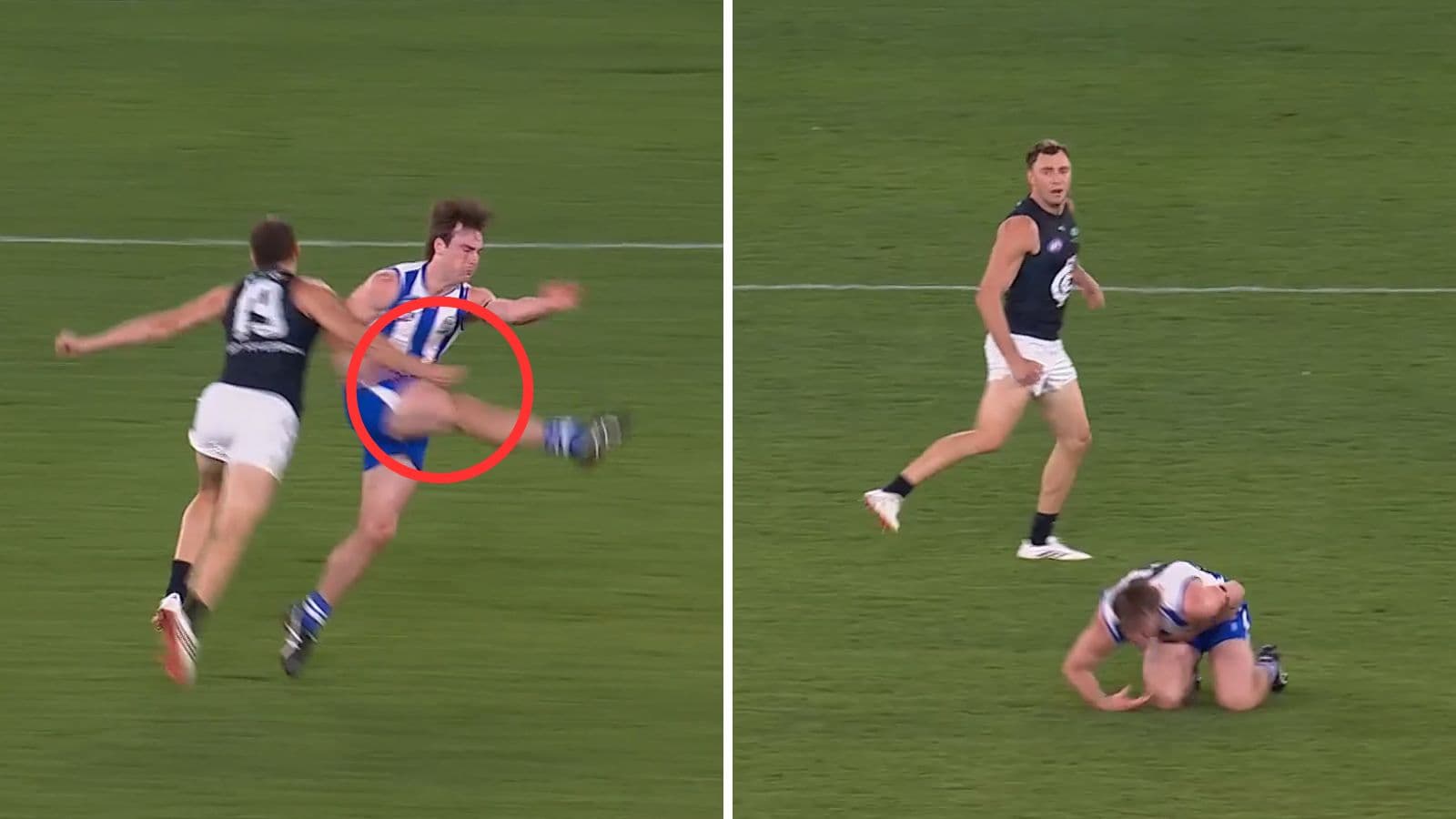 Hayward suspended for wayward strike on young Roo