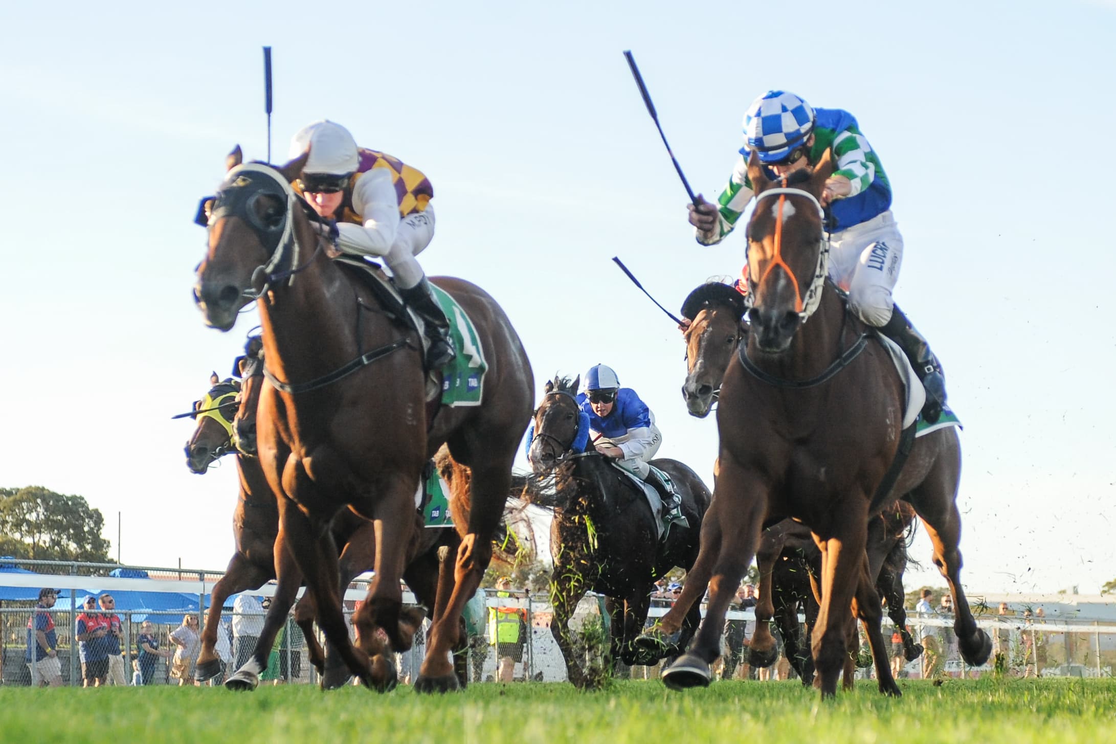 Tuesday best bets from Gannon & Hyland (17/02)