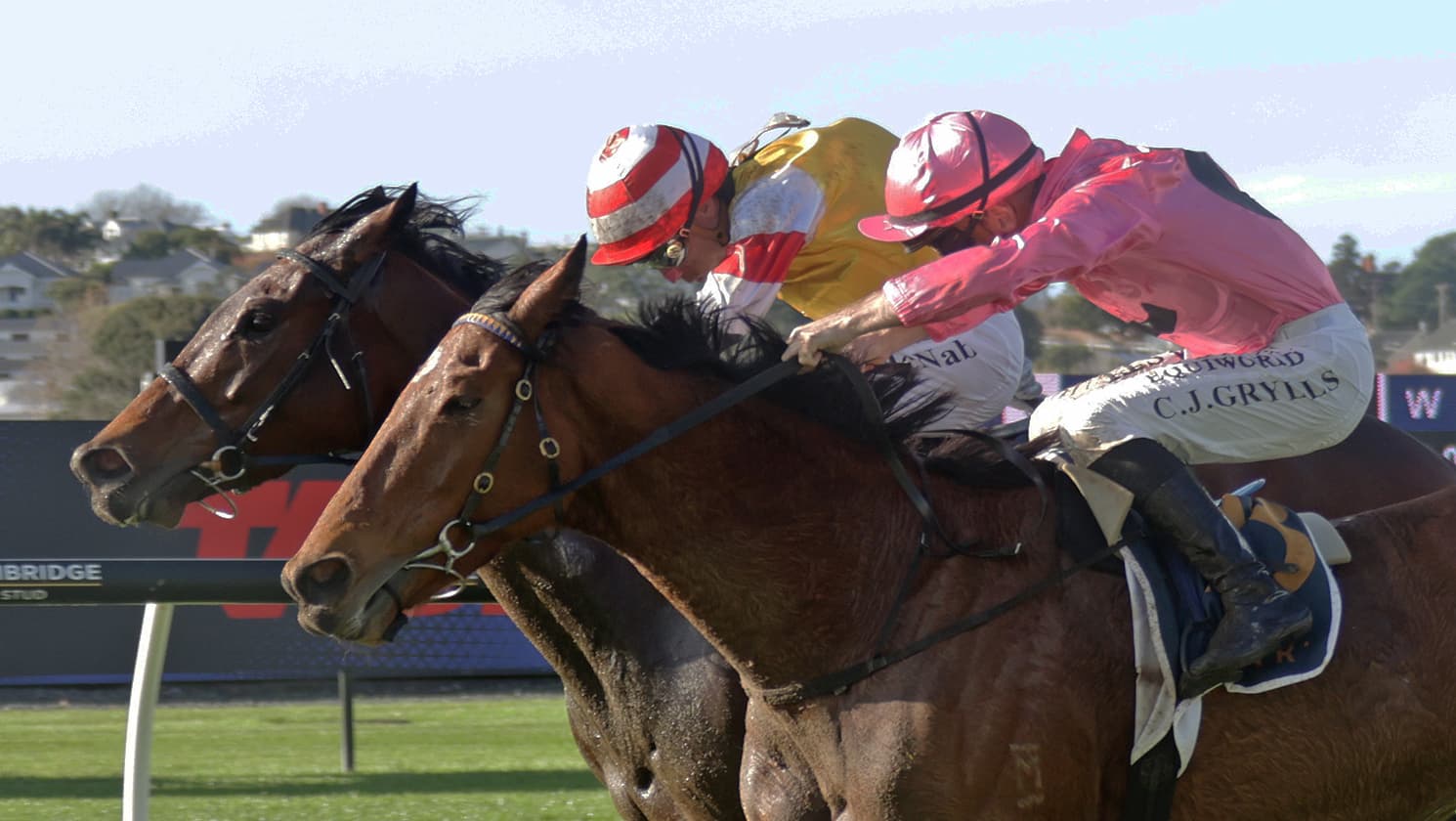 Free Bird fulfils middle distance promise