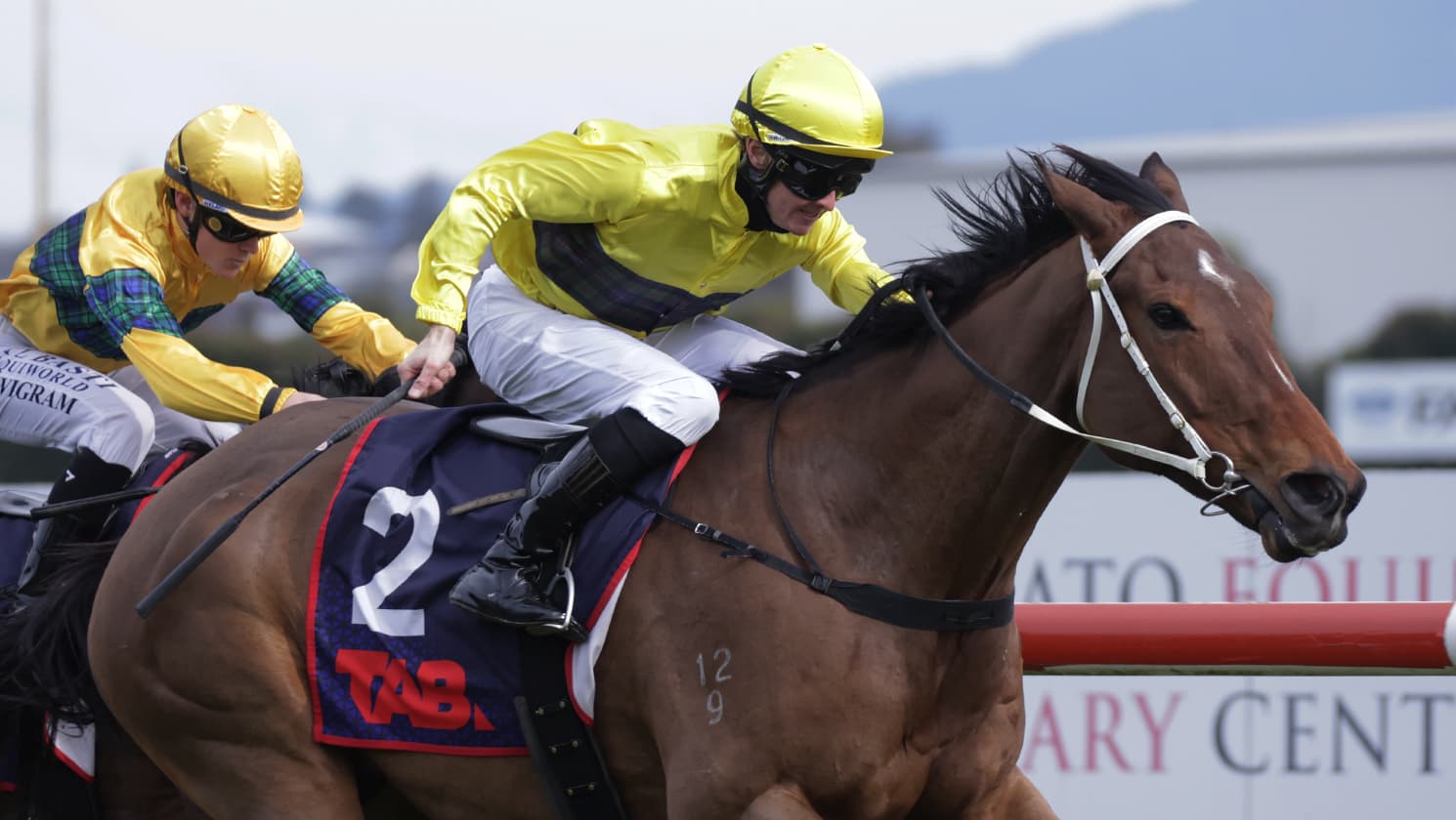 Dusty Road back in business on favourite track