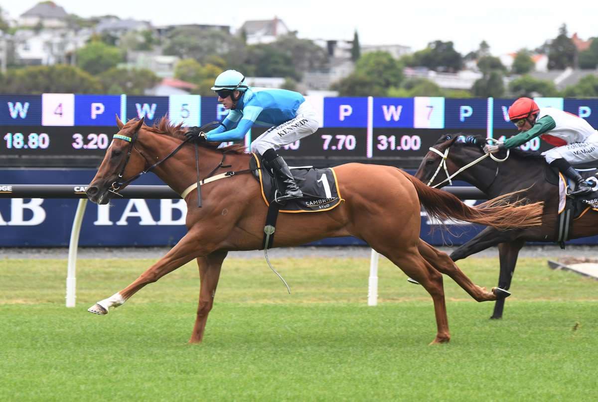 Crocetti pleases in Te Rapa hit-out