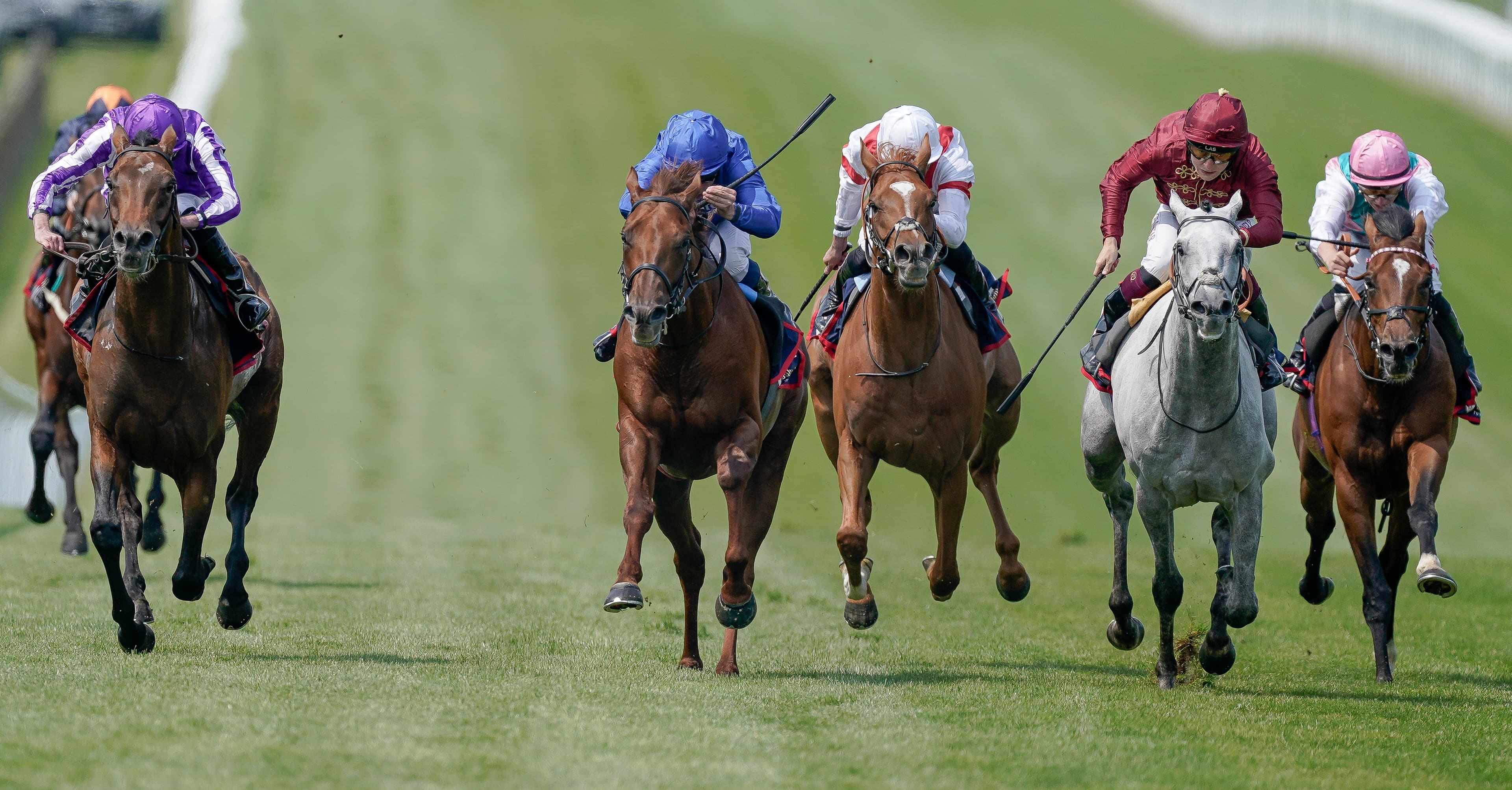 The “big watch” that punters are “very keen” to back in the Melbourne Cup