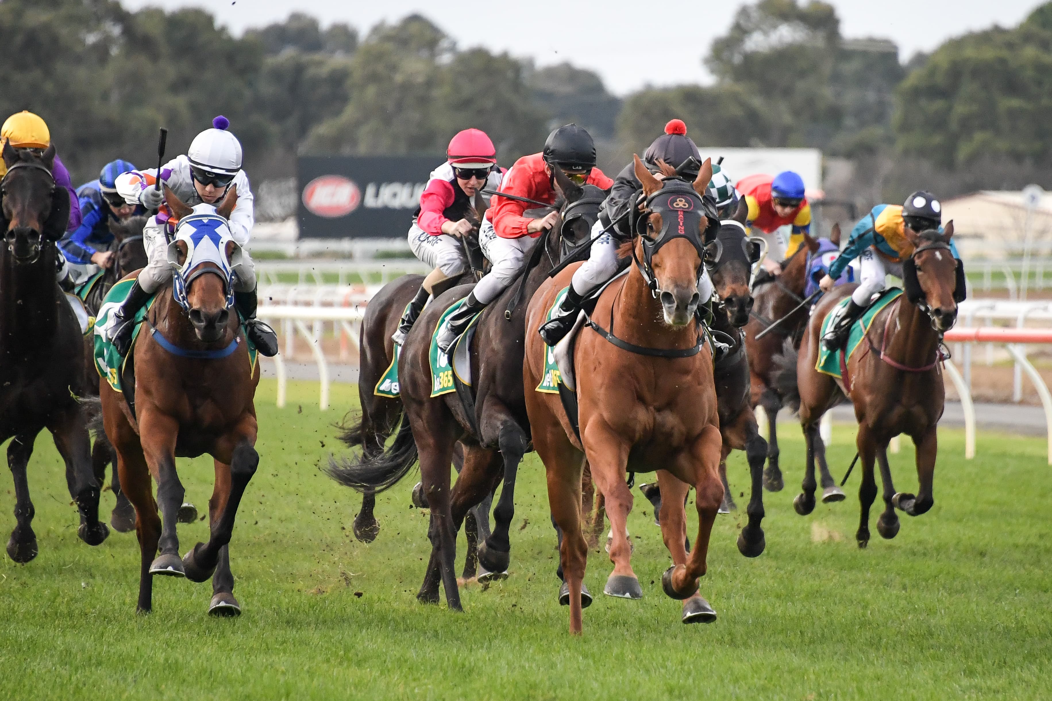 Wednesday best bets from Taggart, Luke, Brown & Pfitzner (22/10)