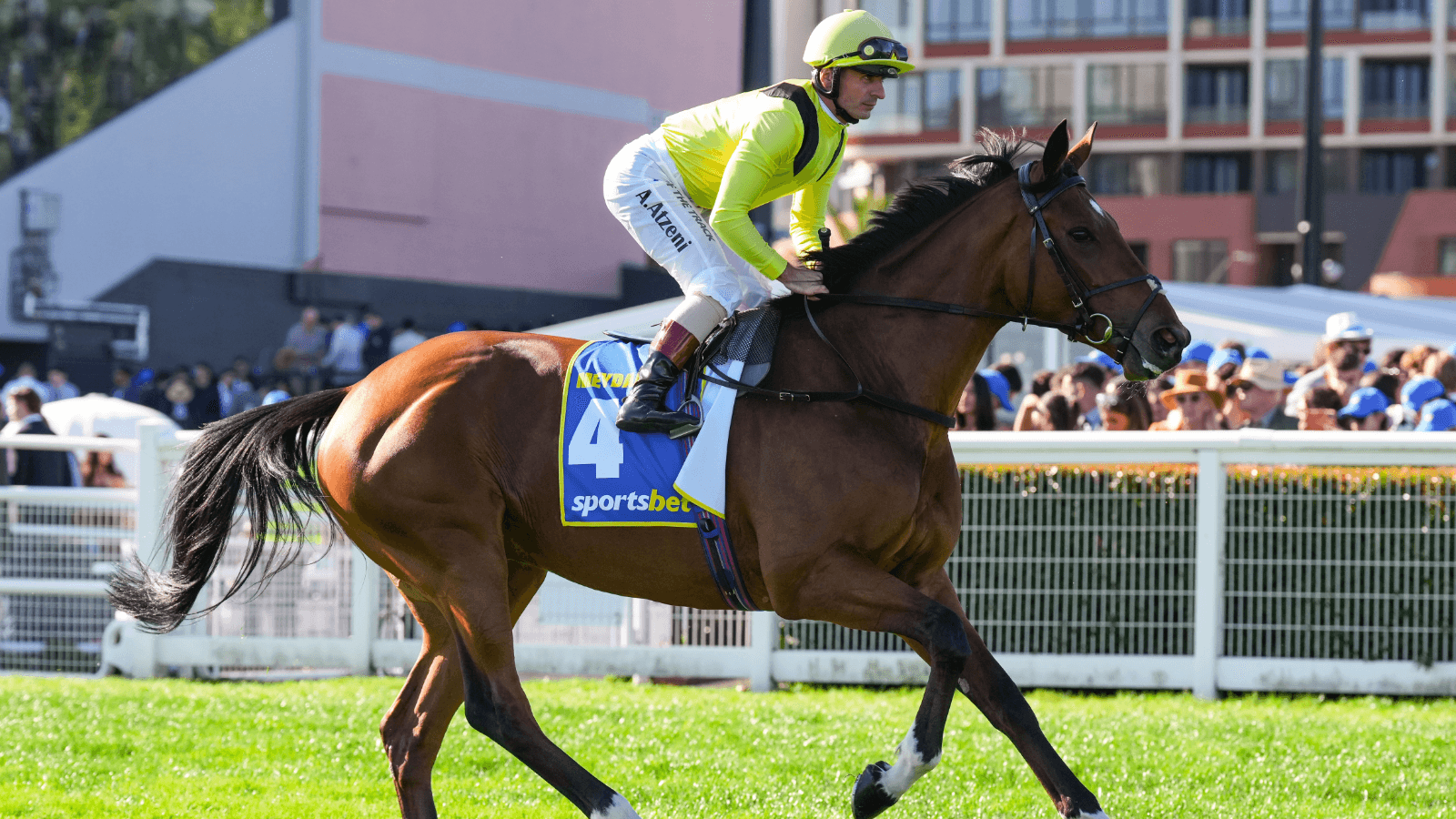 The $18 gelding who is the "horse to beat" in Melbourne Cup