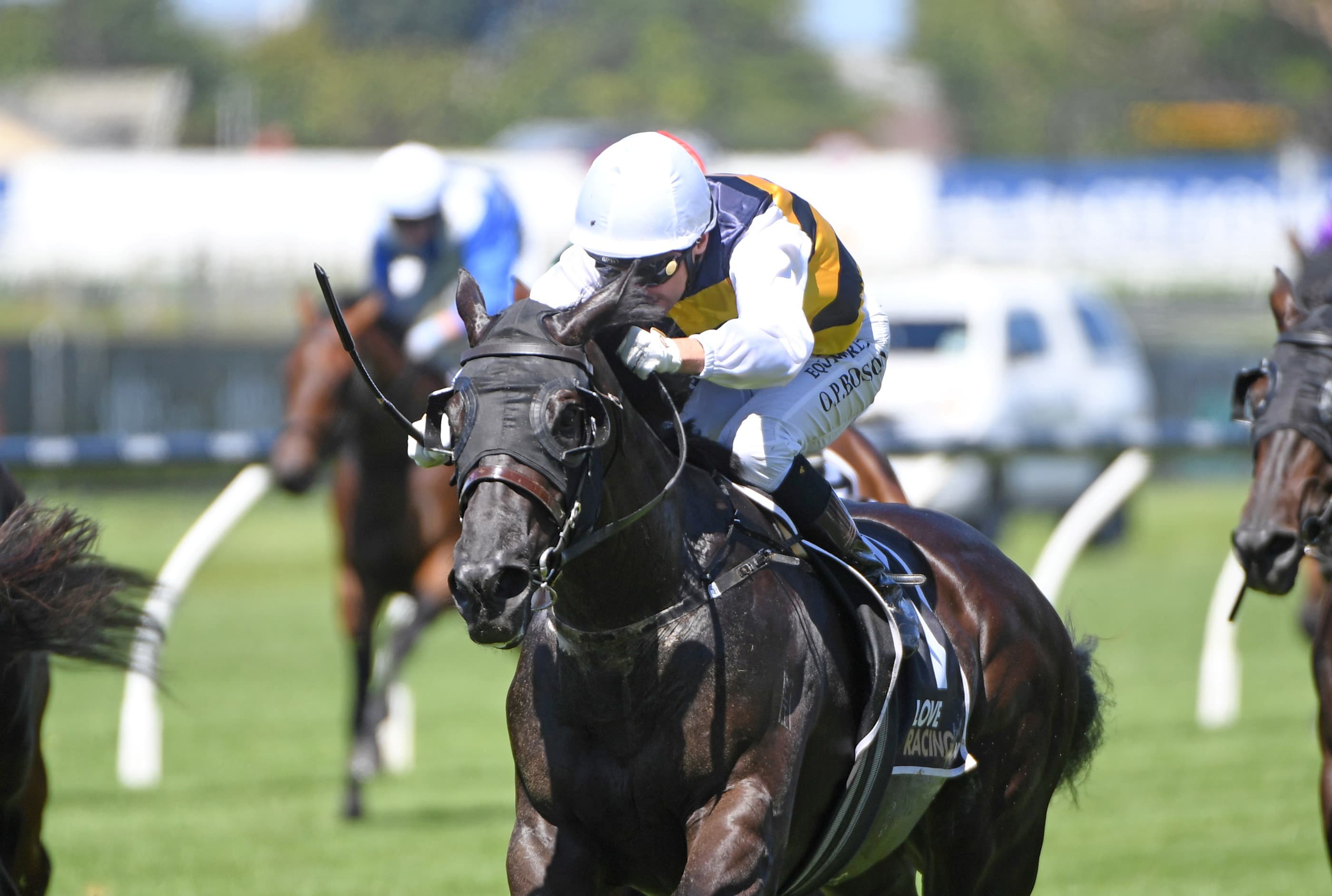 Quality 3YO gets chance to fulfil his distance destiny