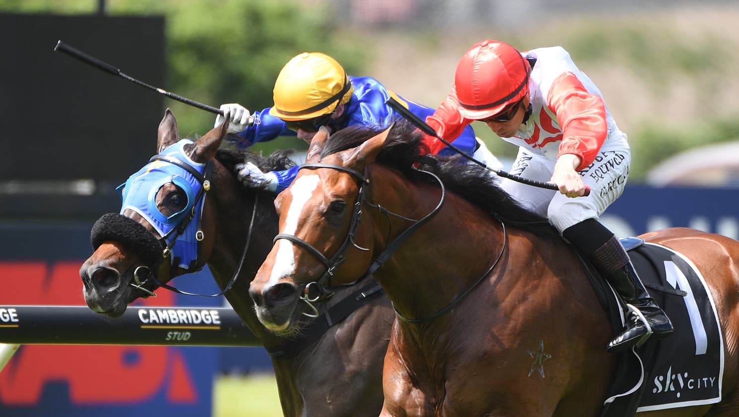 Gerard pair in fine fettle for Guineas defence