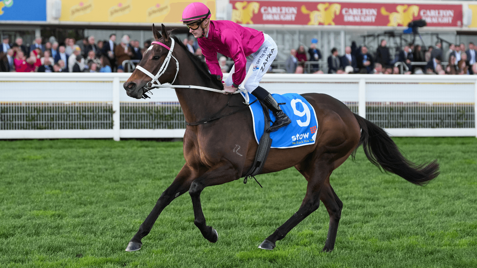 Is it D-Day for Fangirl in the Empire Rose?