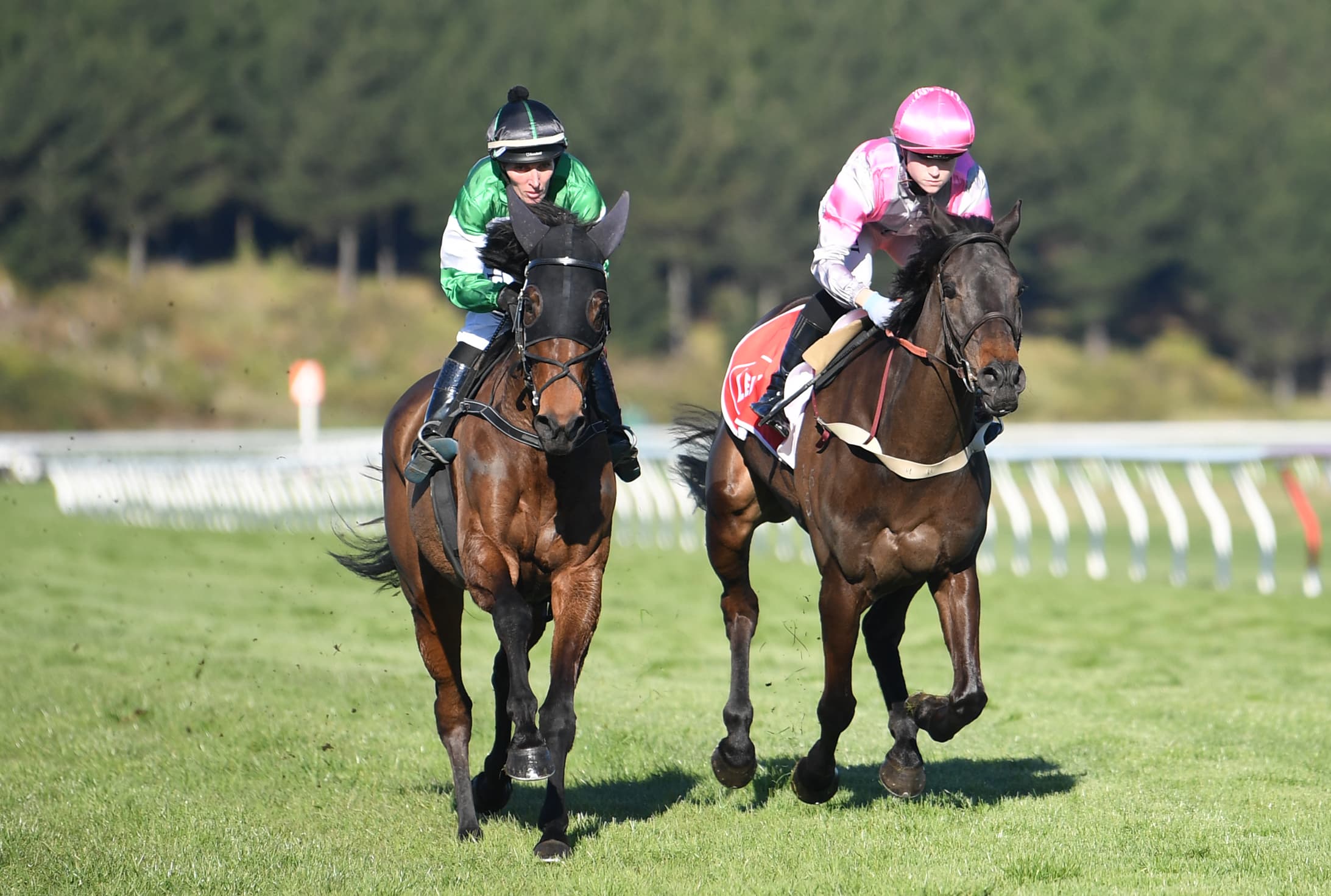 Quinn hoping southern celebrations continue