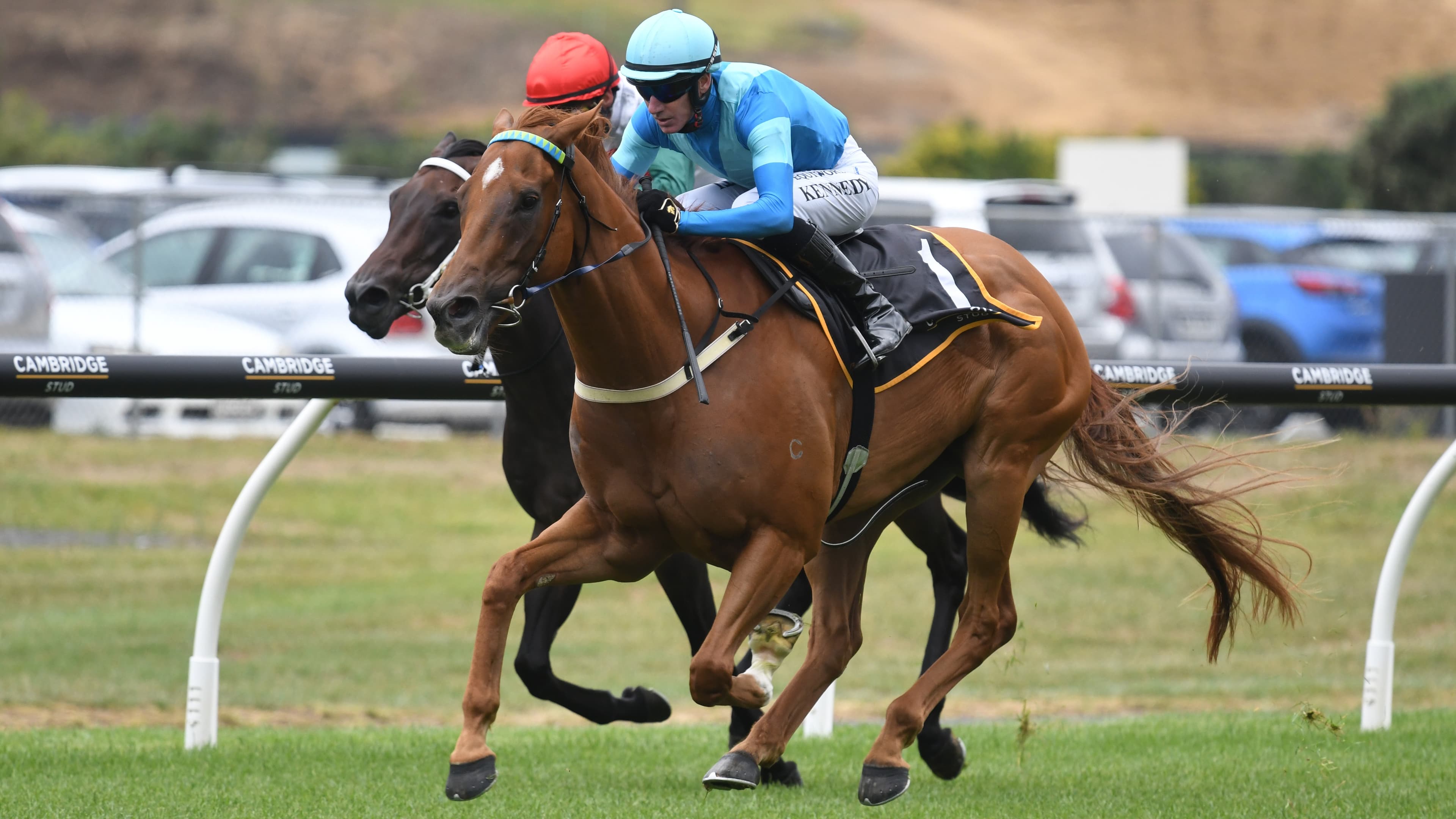 Crocetti primed for summer sprints