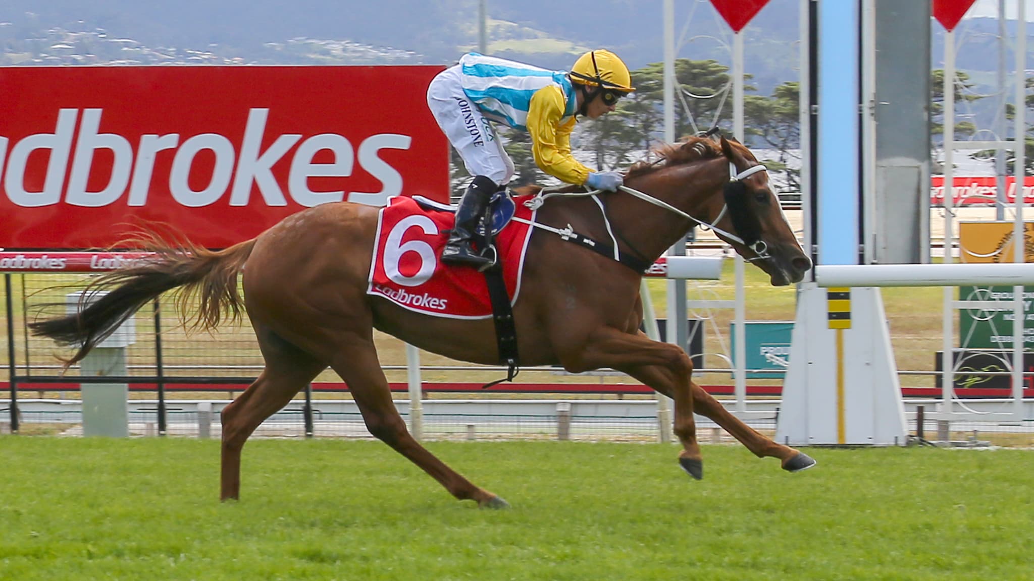 Tasracing's Sunday best bets at Hobart (25/01)