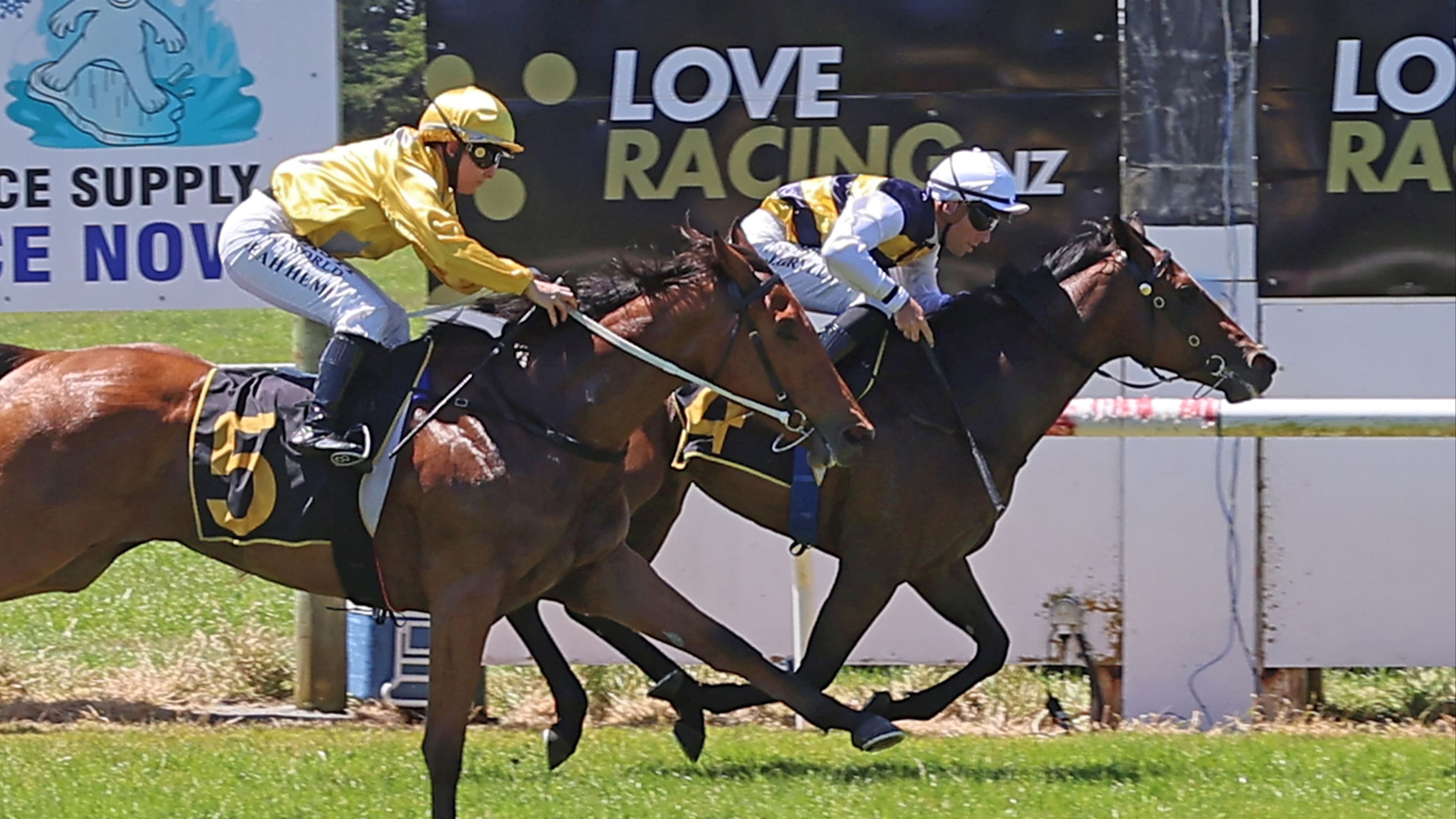 Forsman and Grylls on fire in Central Districts