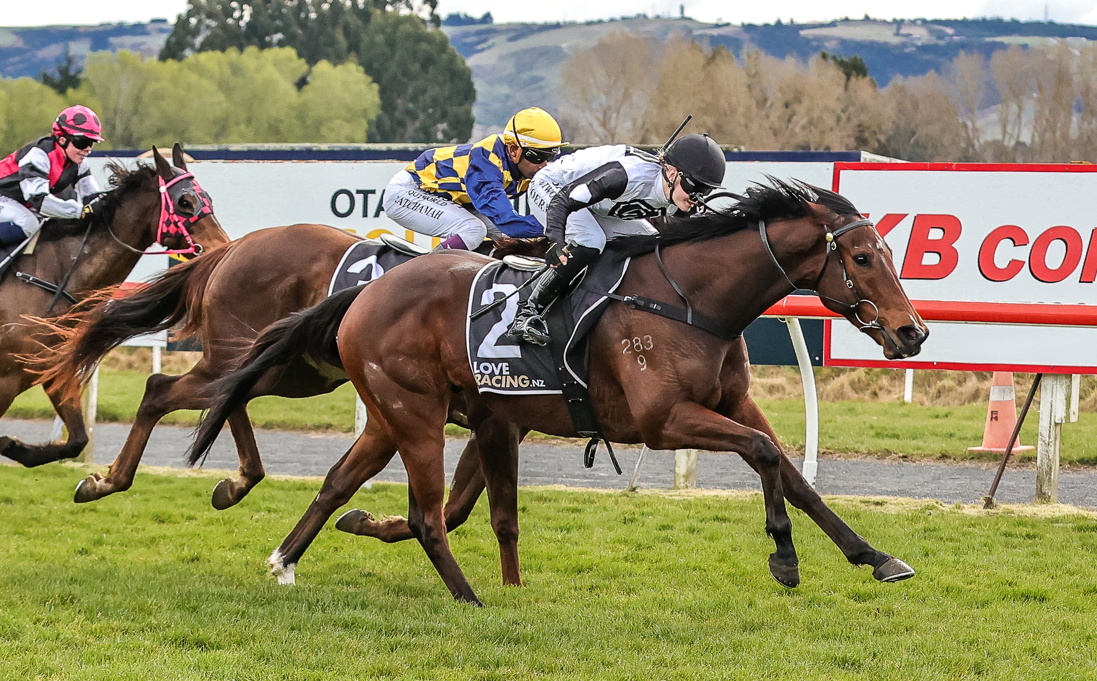 New stable recruit set to shine again