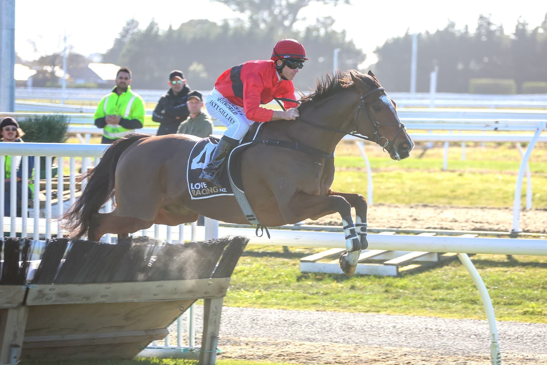 Sydenham satisfaction for Dictation