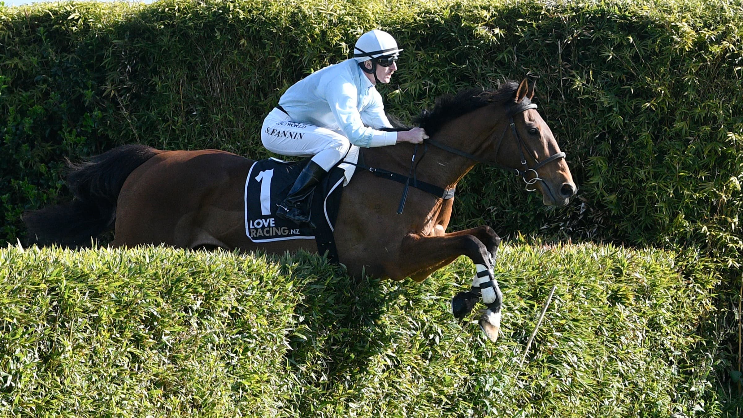 The racing industry farewells a Champion