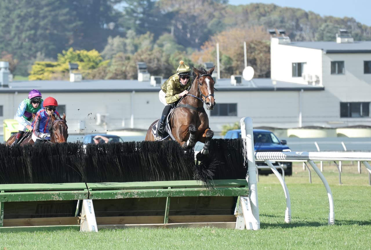 Enigmatic gelding scores at Wanganui