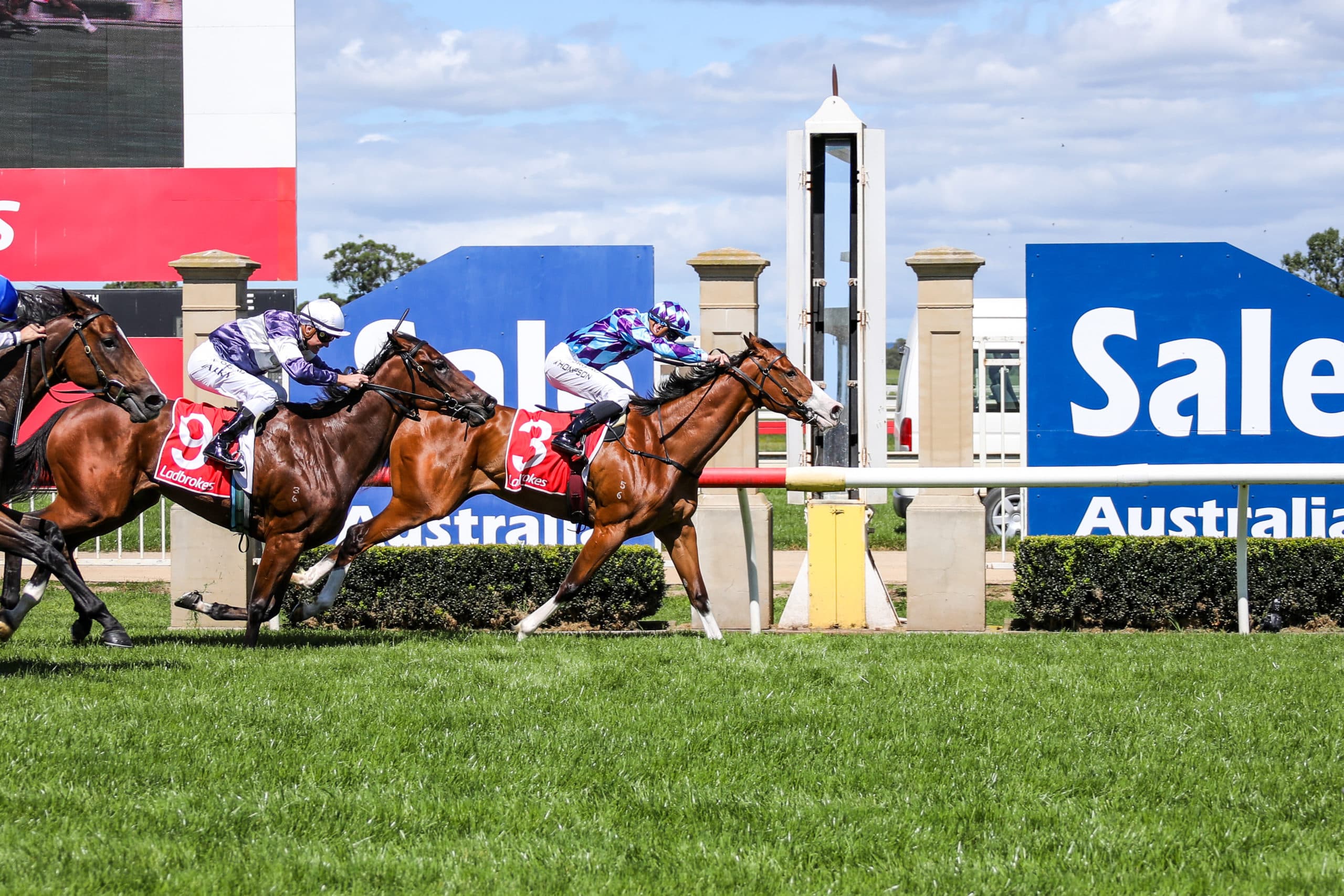 Correct Weight: Nick and Trav Noonan’s Sunday best bets (29/03)