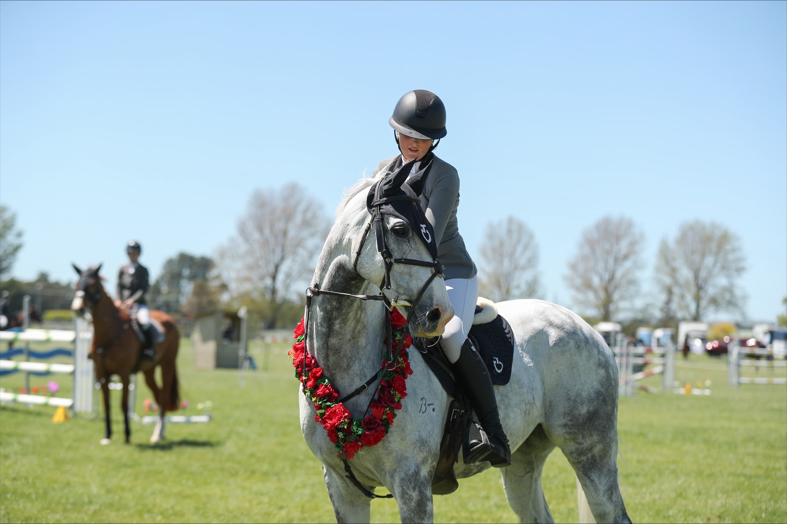 Beyond the Track connects the Thoroughbred community after racing