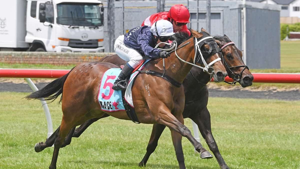 All roads lead to Riccarton for Intention