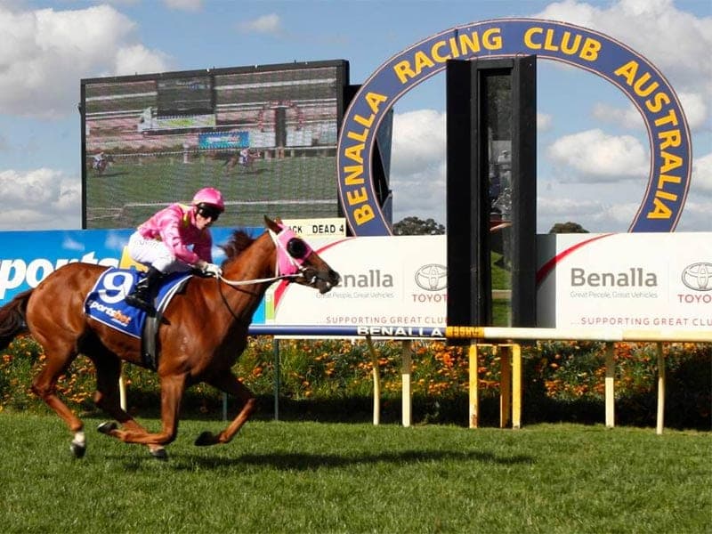 SENTrack: Sam Hyland's best bets at Ararat, Benalla and more (10/11)