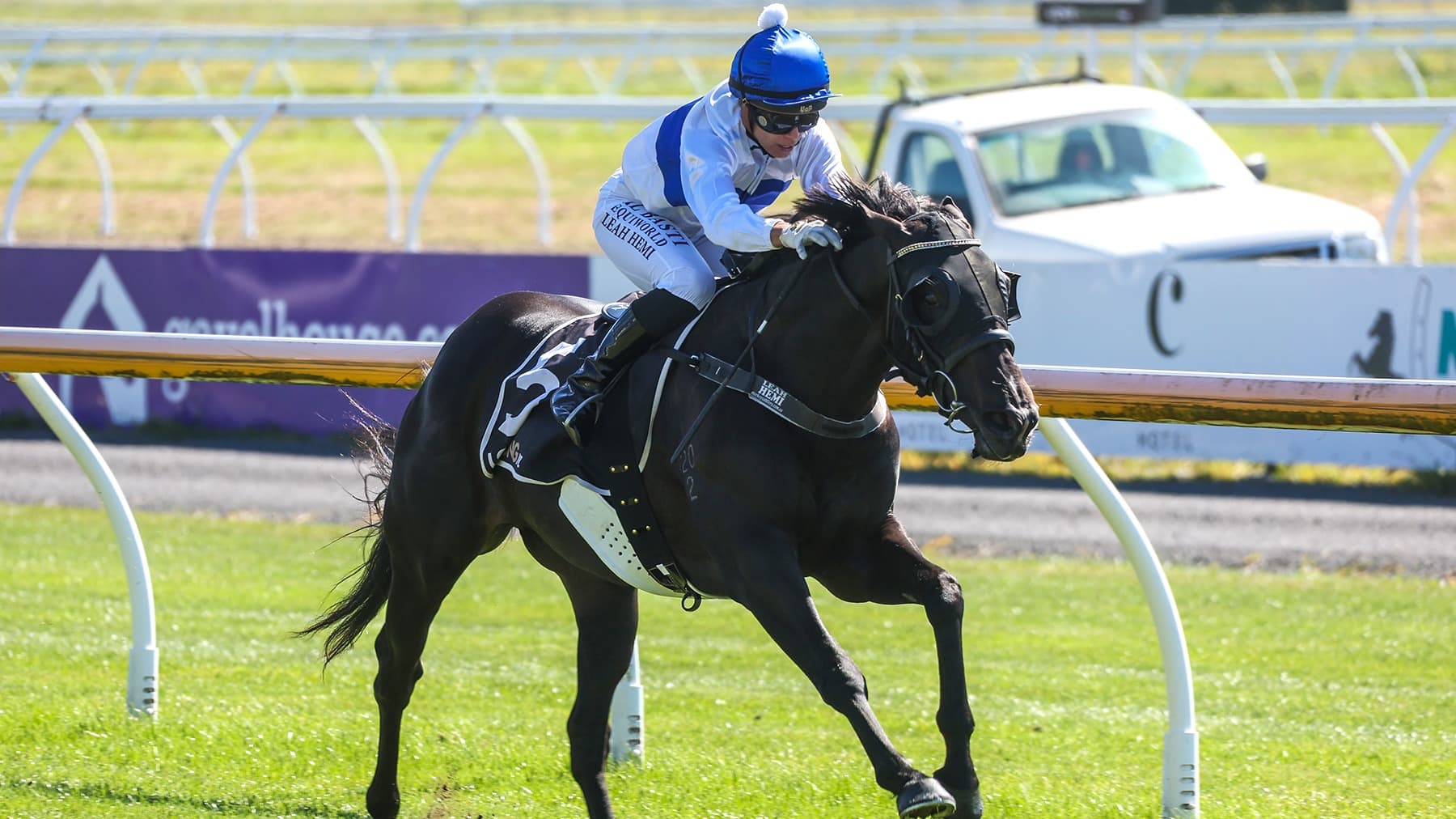 Rae runners raring to go for Riccarton